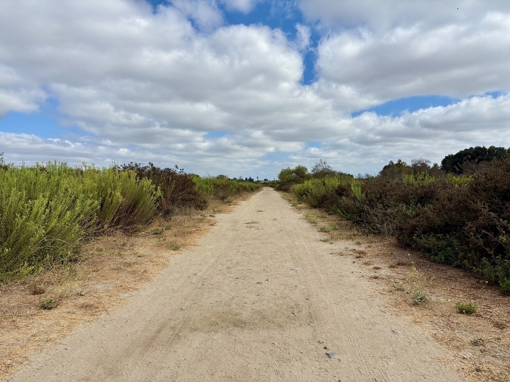 A dirt path surrounded by green bushes stretches into the distance under a partly cloudy sky.