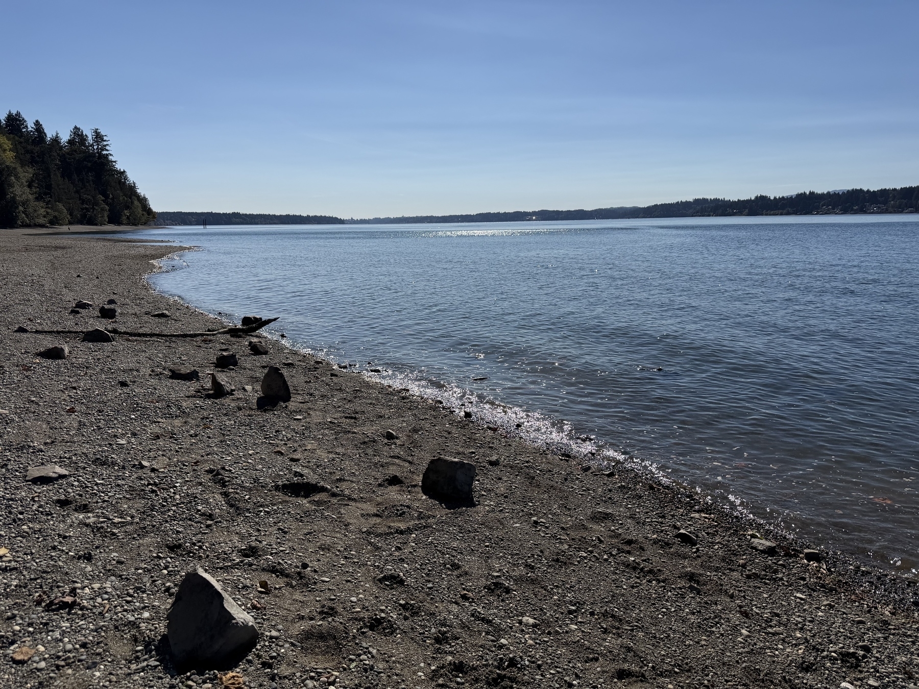 A peaceful shoreline features scattered rocks along the beach, with a calm body of water extending to the forested horizon under a clear blue sky.