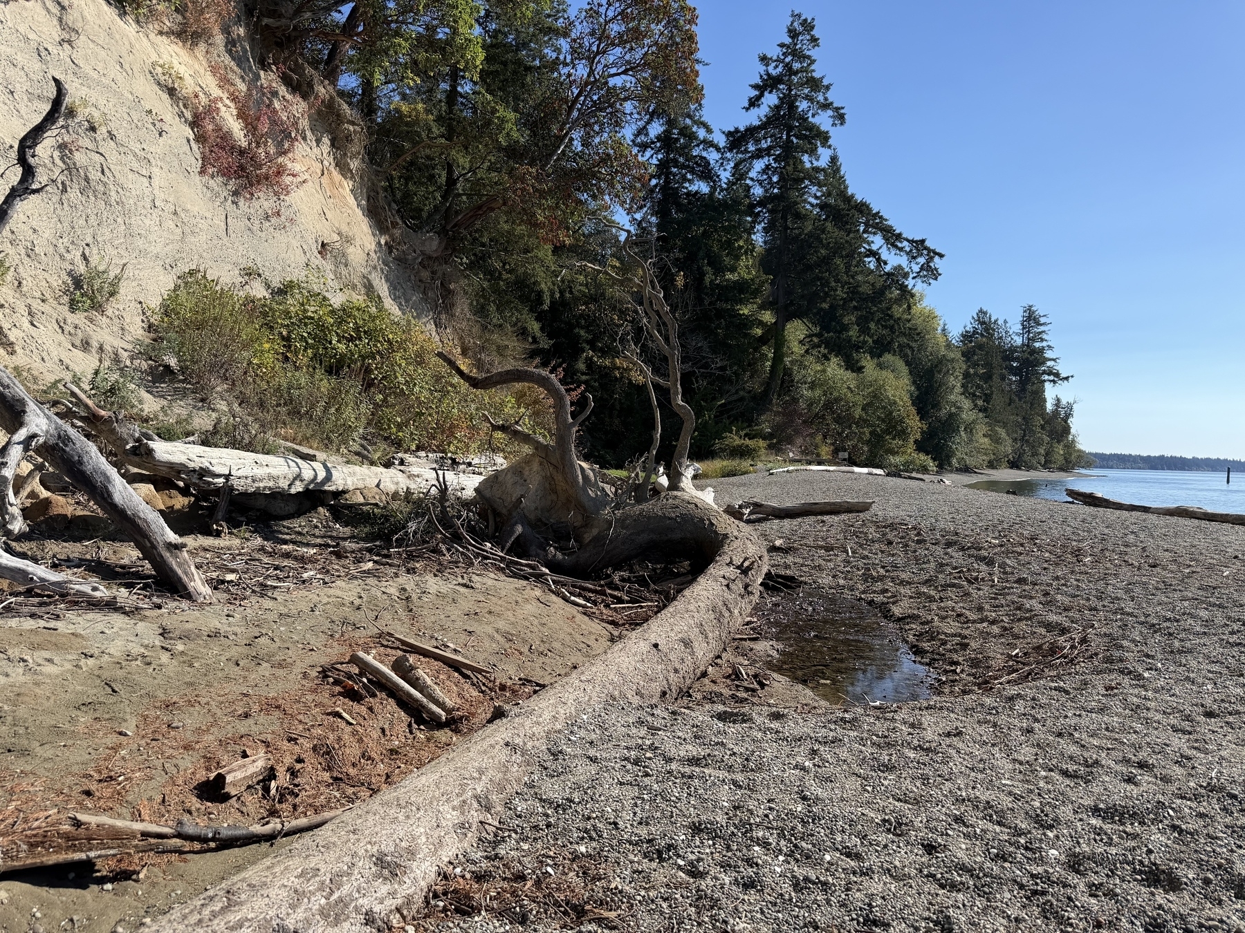 A driftwood log lies on a rocky beach beside a tree-lined hillside under a clear blue sky.