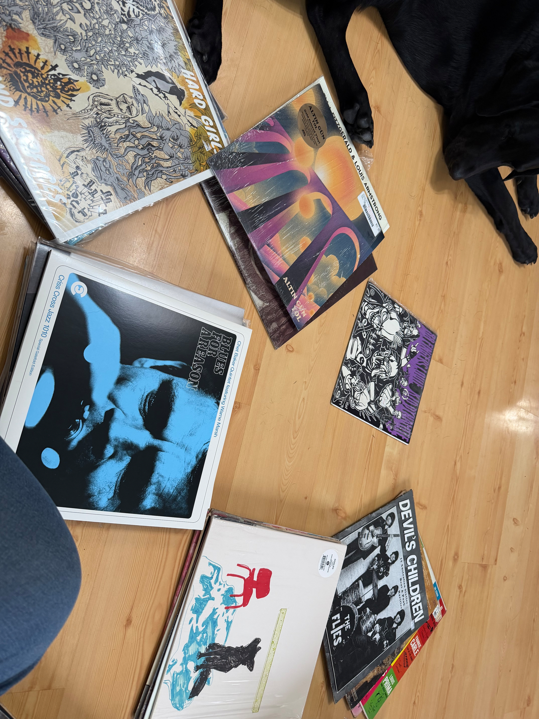 Vinyl records are scattered on a wooden floor, with Finn’s paws visible nearby.  Visible records, Chet Baker, Dogleg, Altin Gunn, Hard Girls, 88 Fingers Louie, Devil’s Children Australian punk comp.