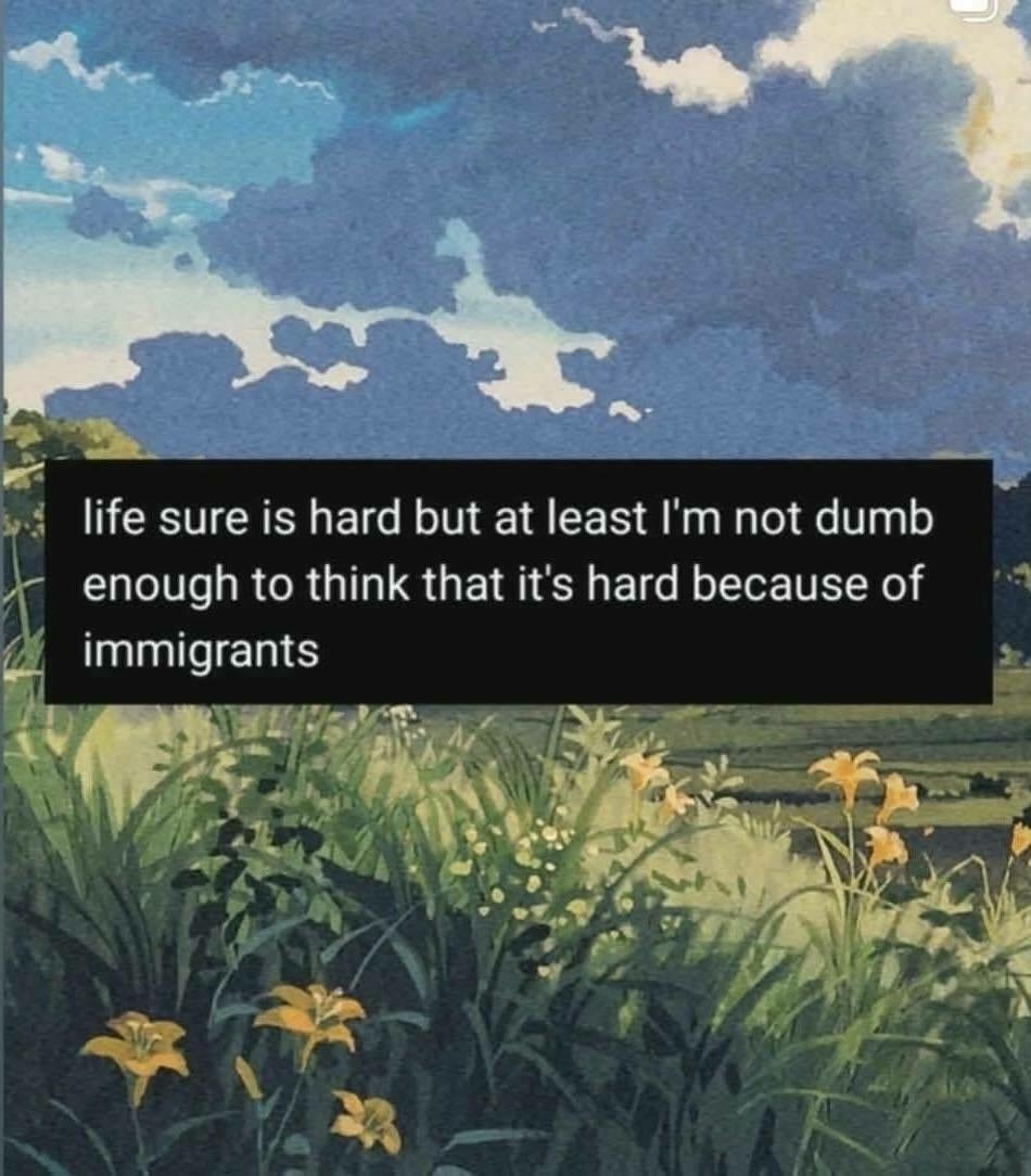 illustration of a meadow with grass and yellow flowers dark clouds overhead.  A black box centered in the middle with white text which reads, "life sure is hard but at least i'm not dumb enough to think that it's hard because of immigrants".  