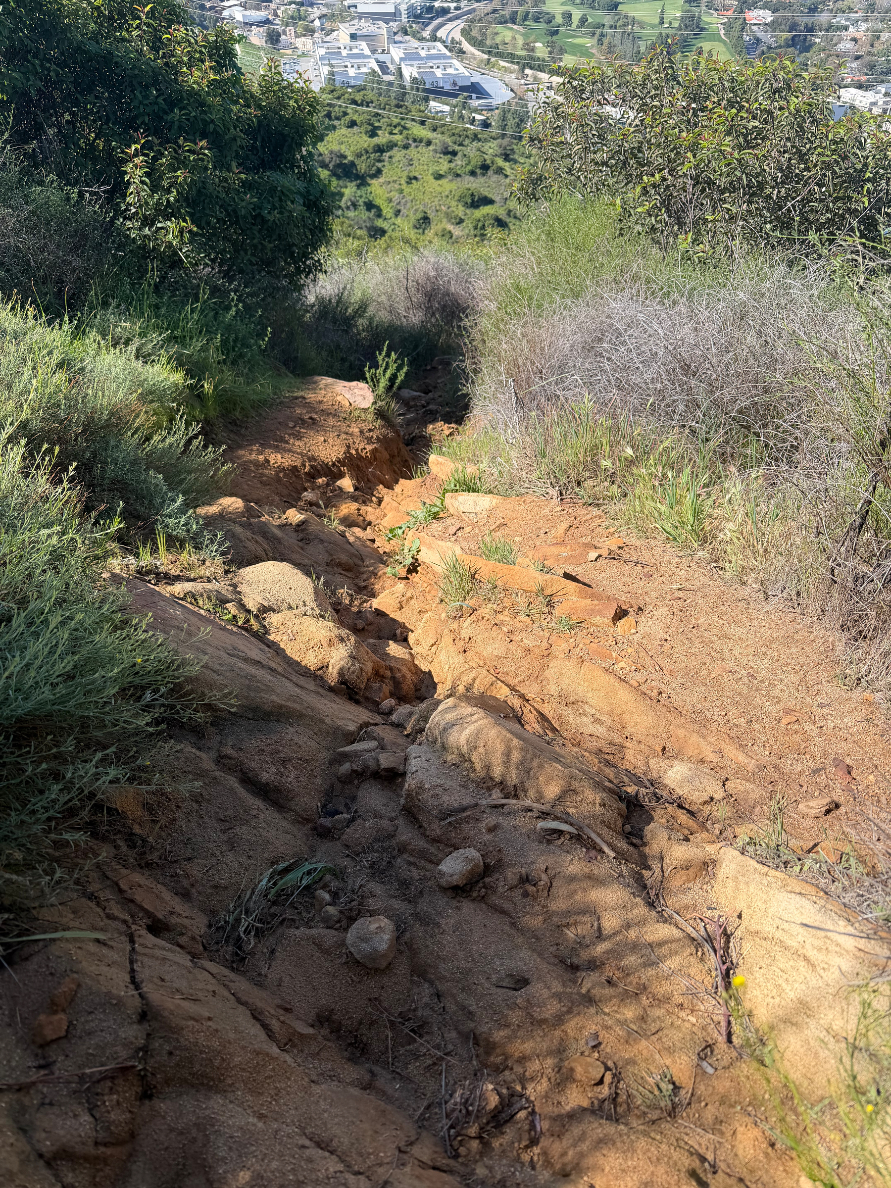 A rugged dirt trail descends through dense greenery with a view of a town in the distance.