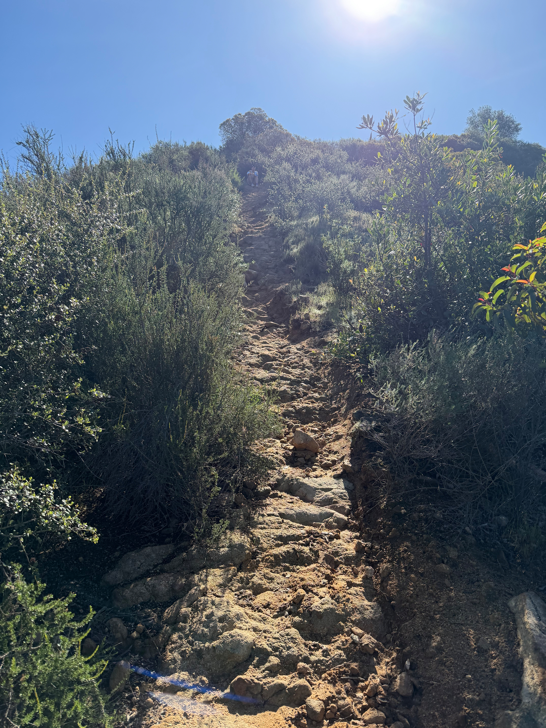 A rocky hiking trail winds uphill through dense green shrubs under a bright sunlit sky.