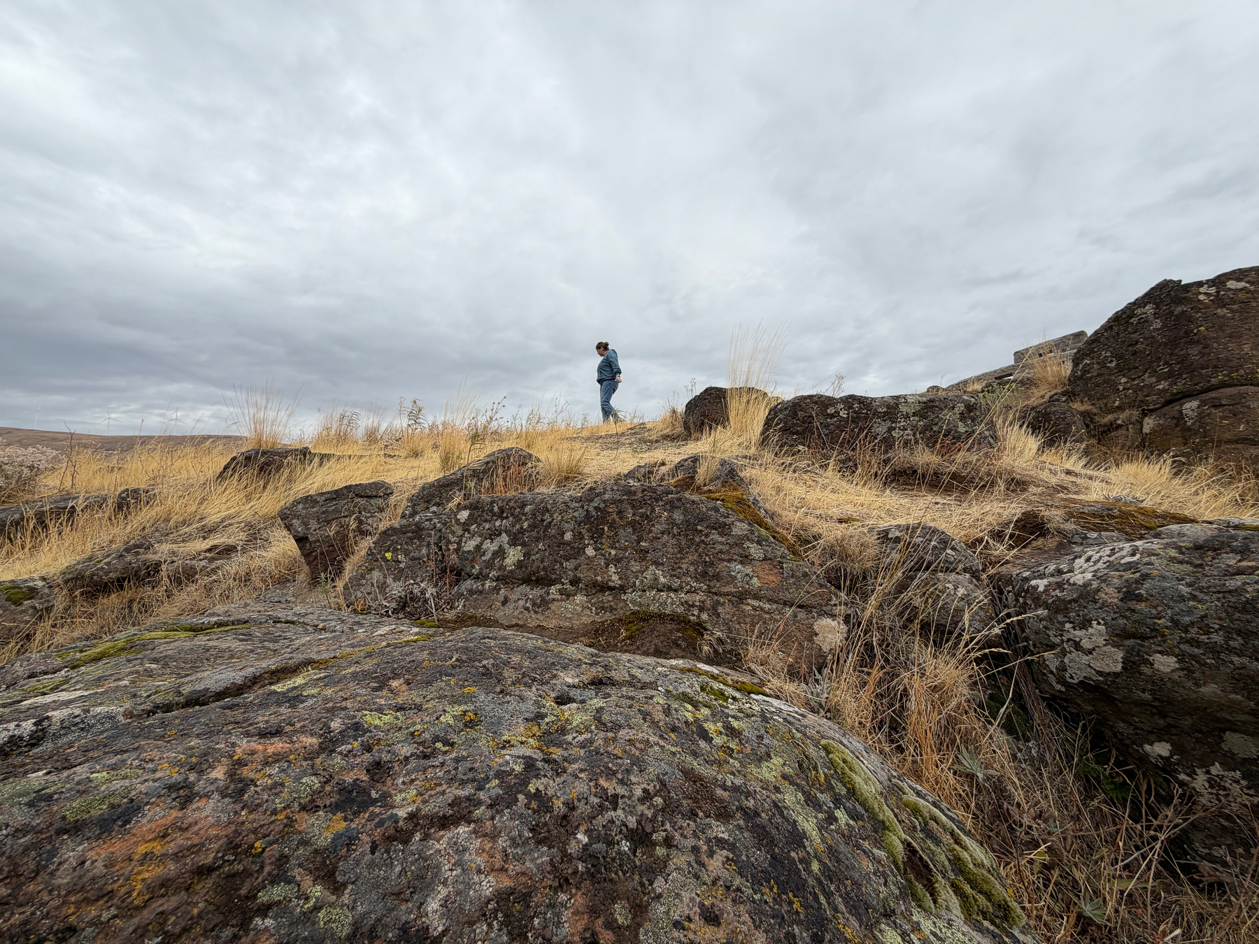 A solitary person stands on a grassy, rocky hillside under a cloudy sky. The partner thinking deep thoughts