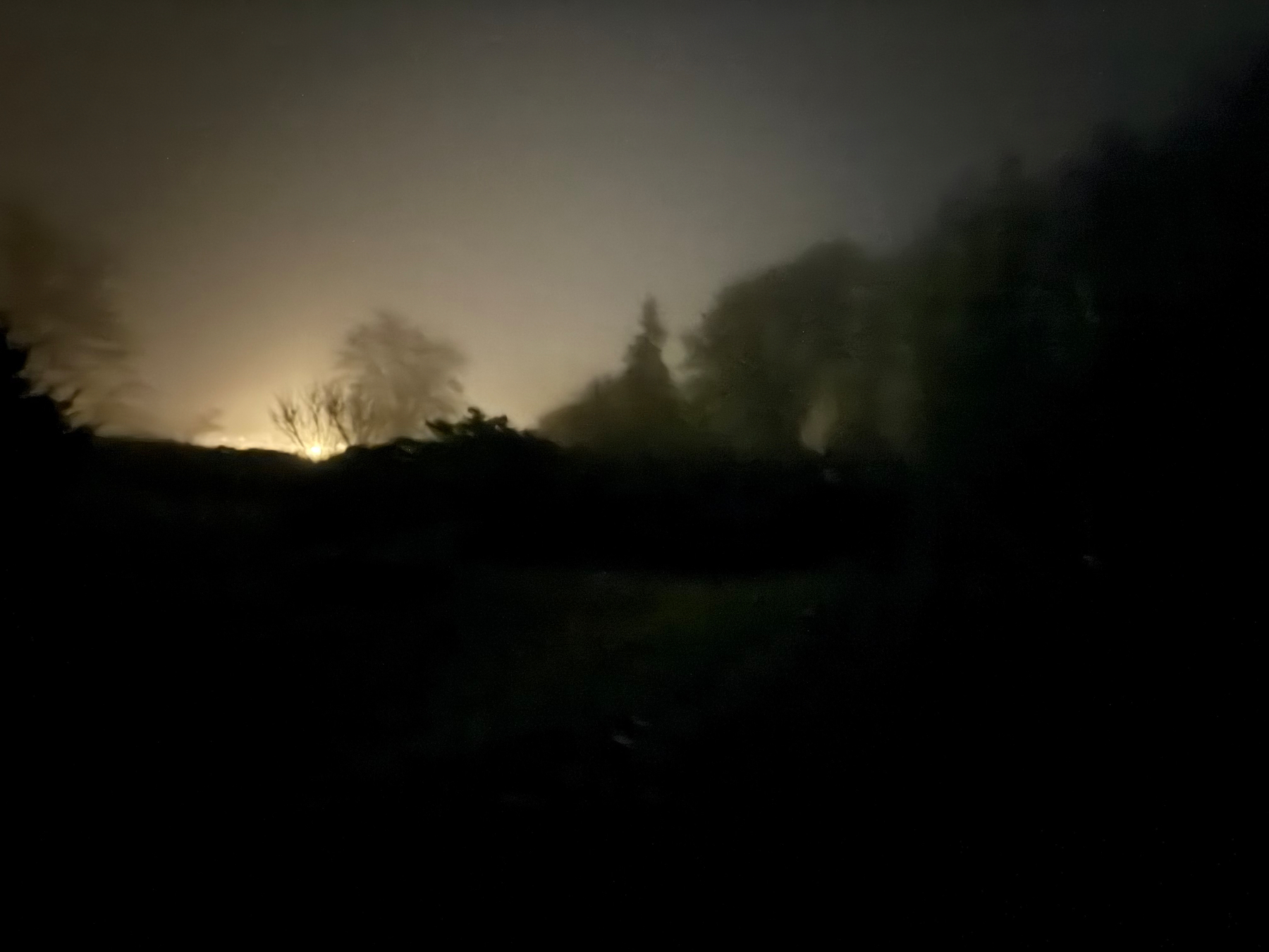 A dimly lit, foggy landscape with faint outlines of trees and bushes under a dark sky.