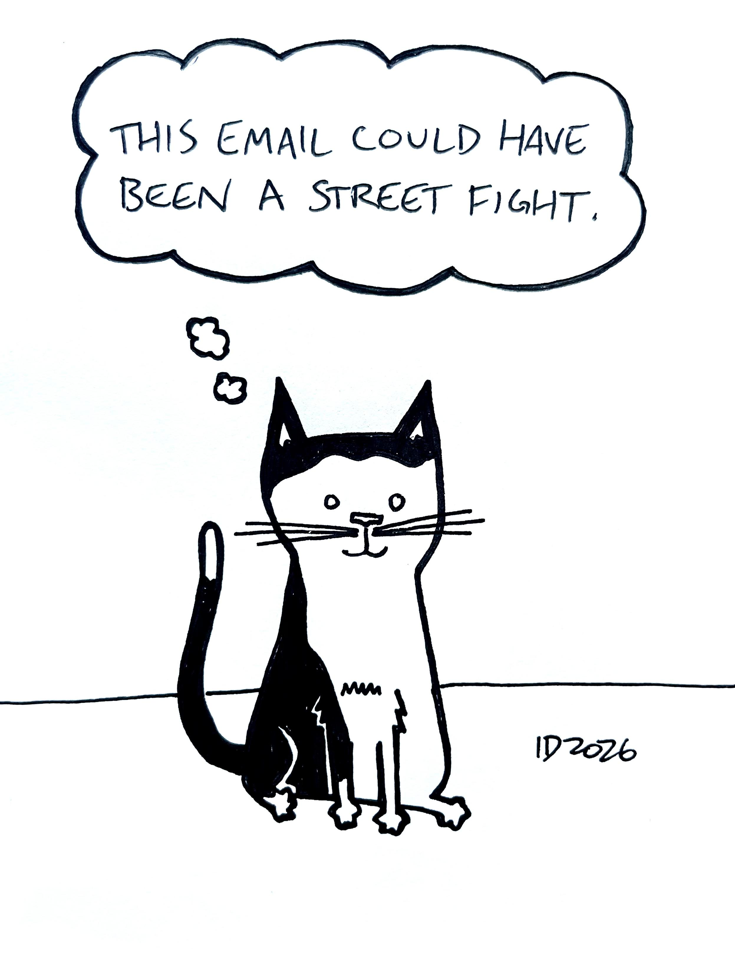 A black and white crime cat sits with a thought bubble above its head saying, “This email could have been a street fight.”