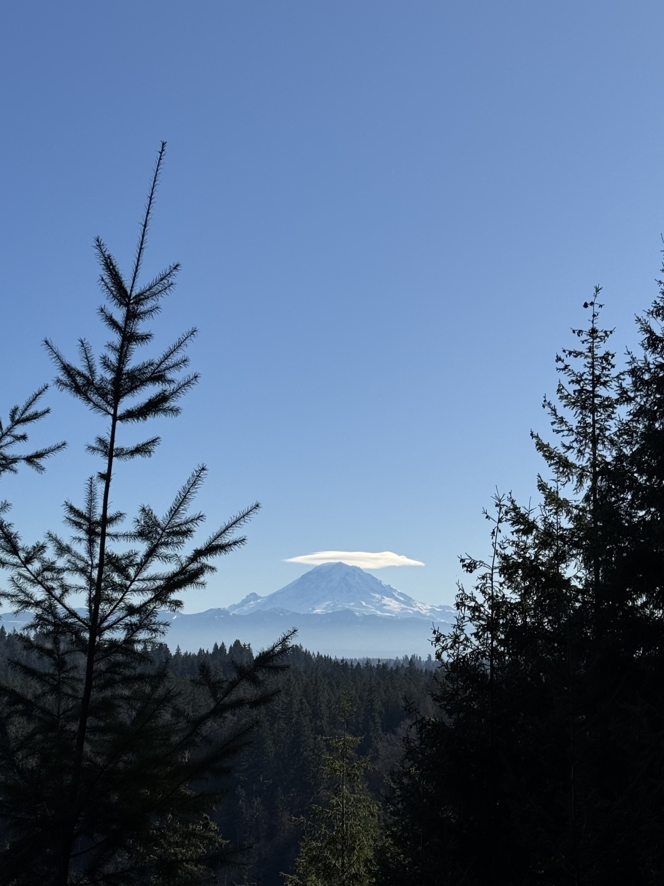 A picture of Mount Rainier