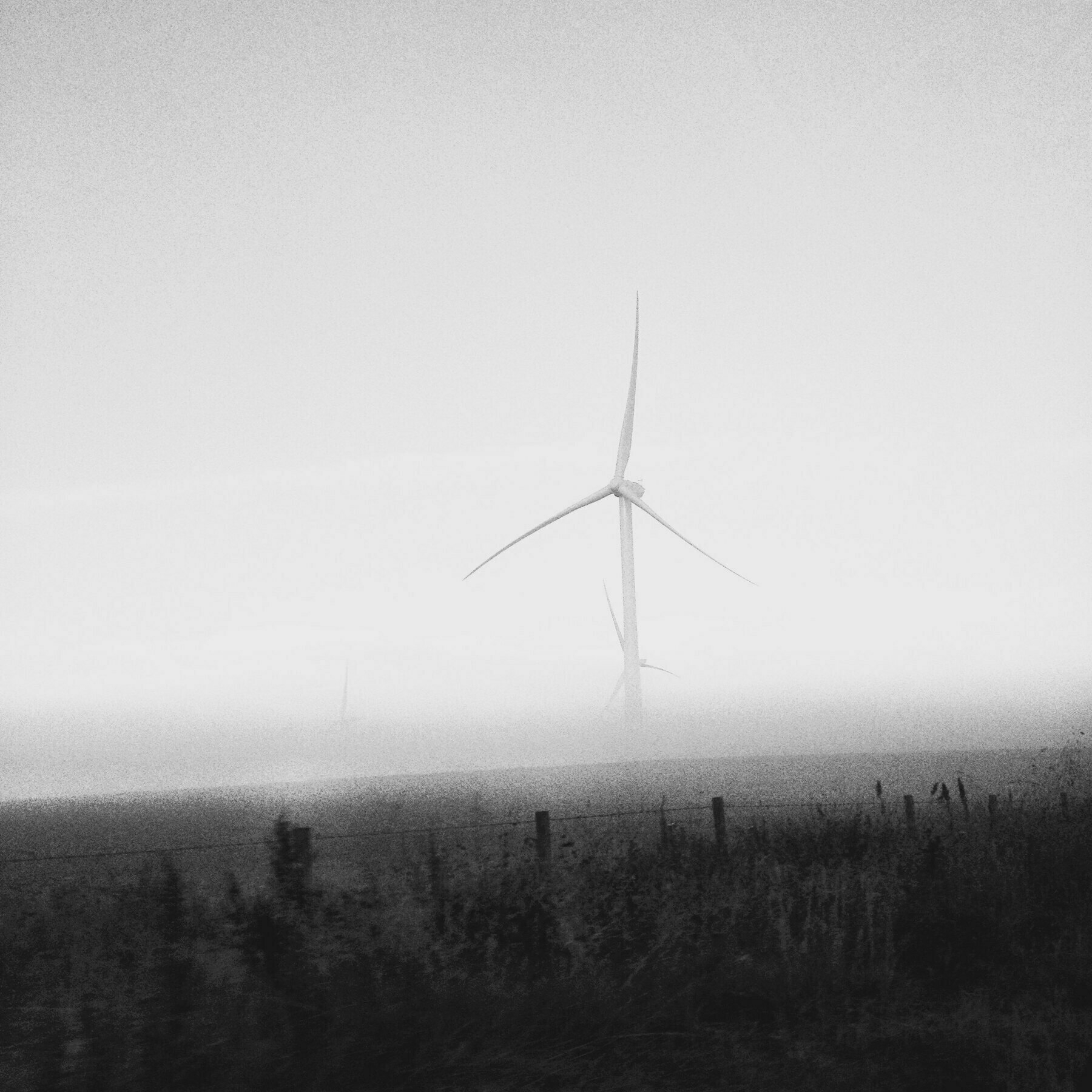 windmill in the mist