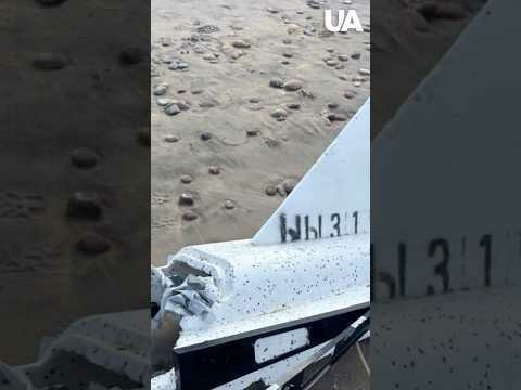 Fragments of Russian Gerbera UAV found in Latvia #shorts