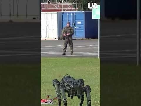 DRONES OVER AIRPORTS! Germany will bring down the threat! #shorts
