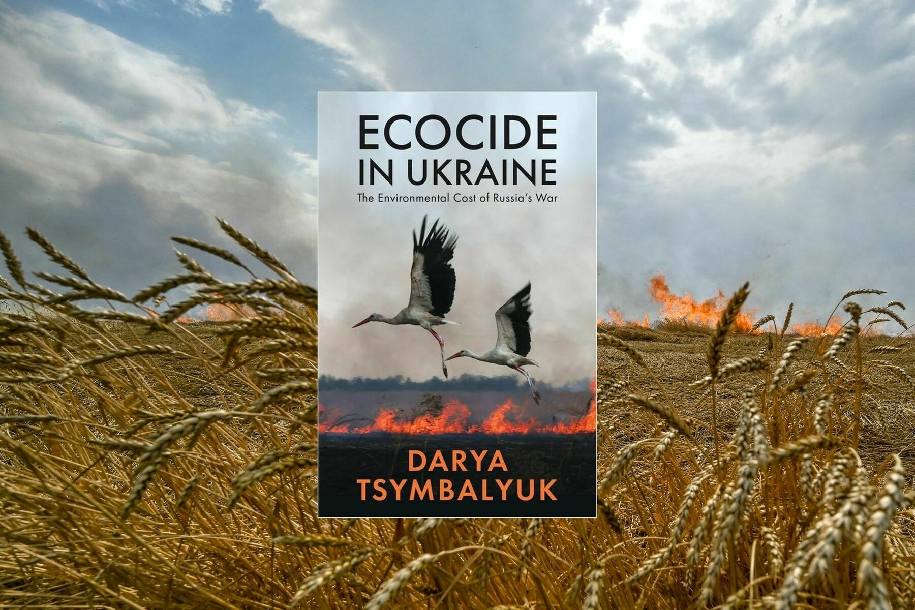 New book exposes Russia’s ecocide as a war against Ukraine’s land – and memory