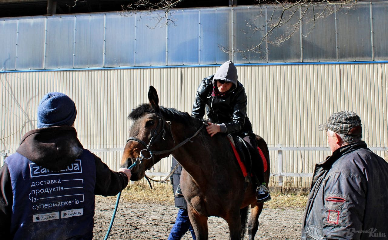 Ukraine’s horses under fire