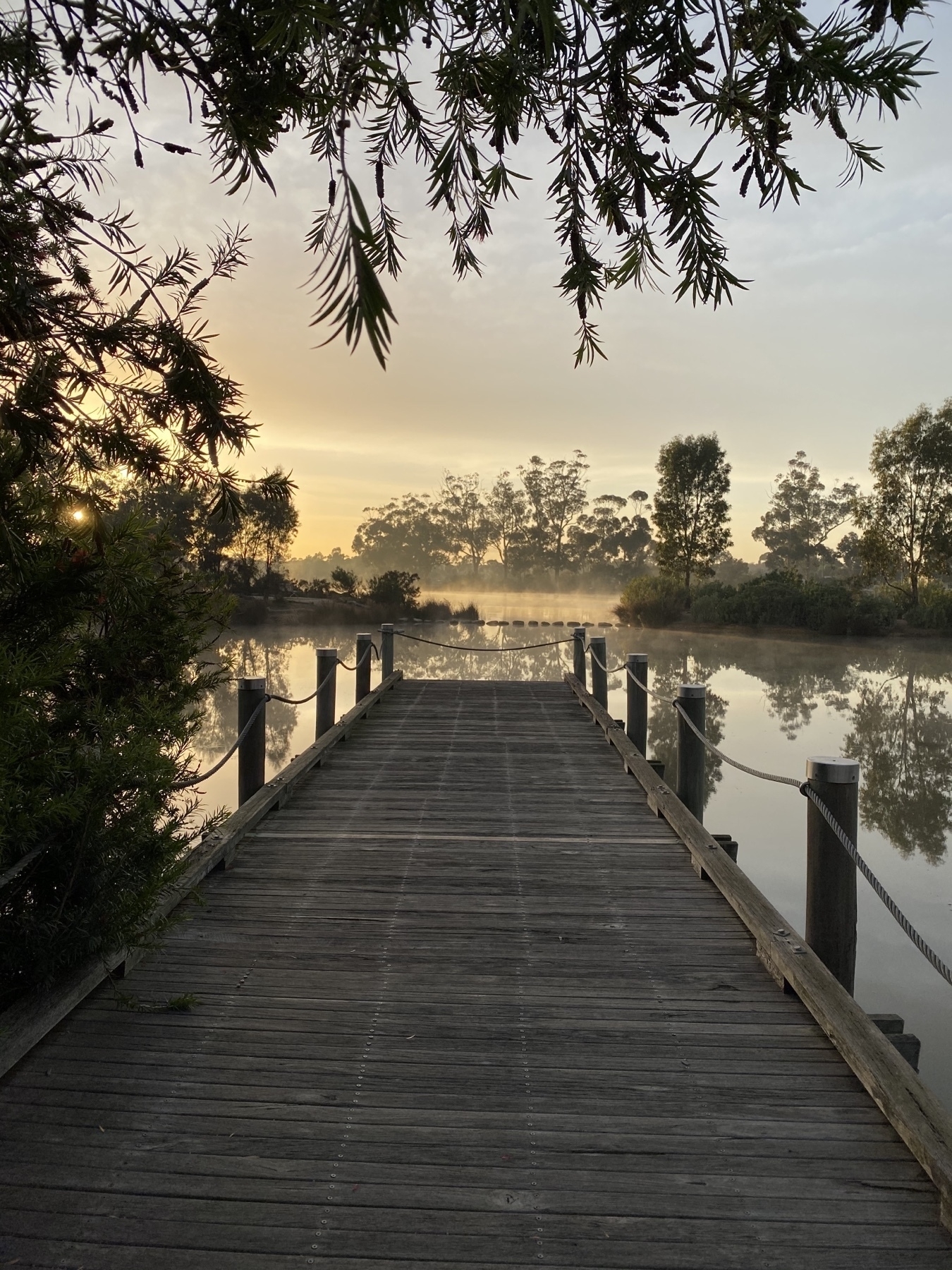 photo of a lake in central Victoria. early morning. mist rising from the water. 