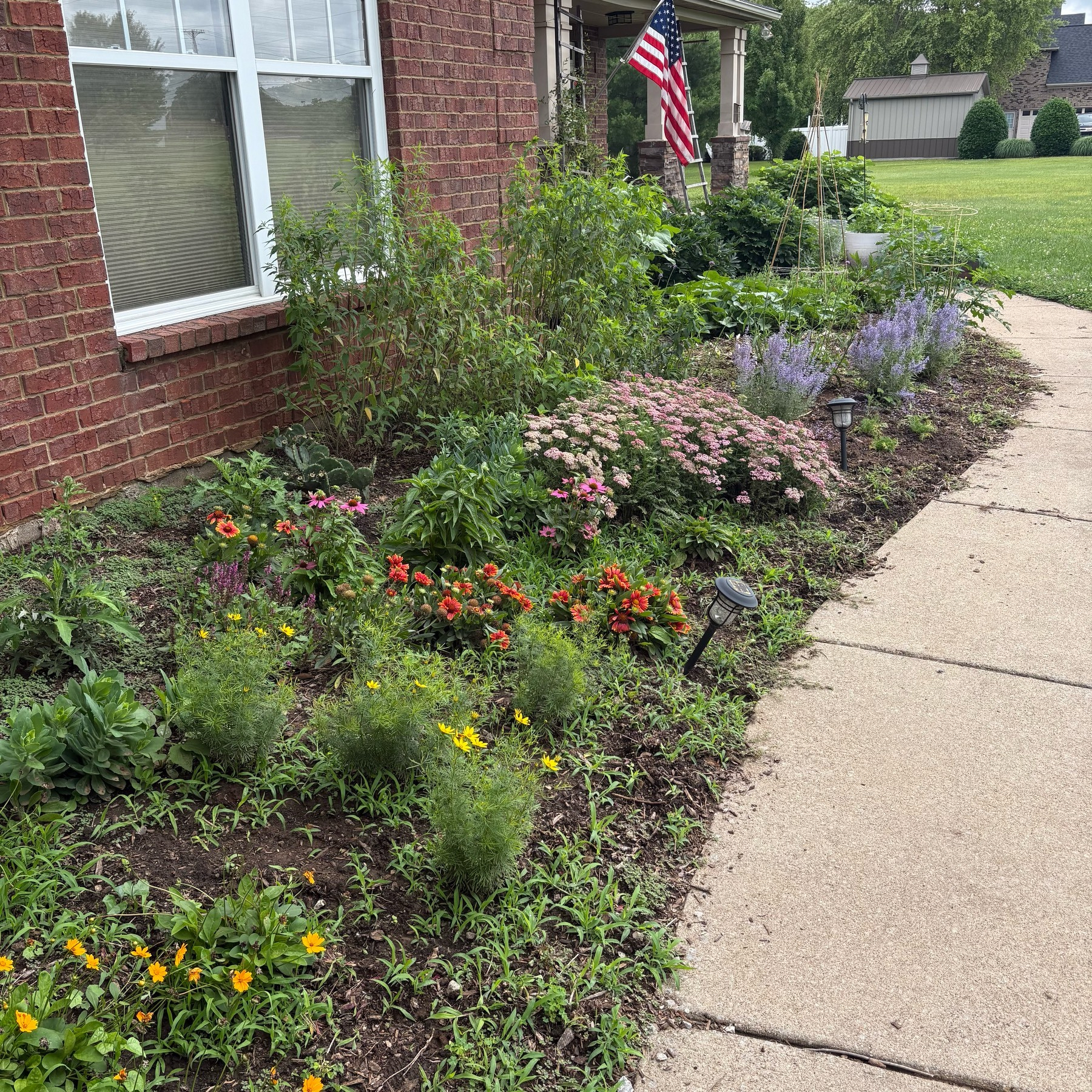 A cottage-garden style flower bed along a sidewalk. 