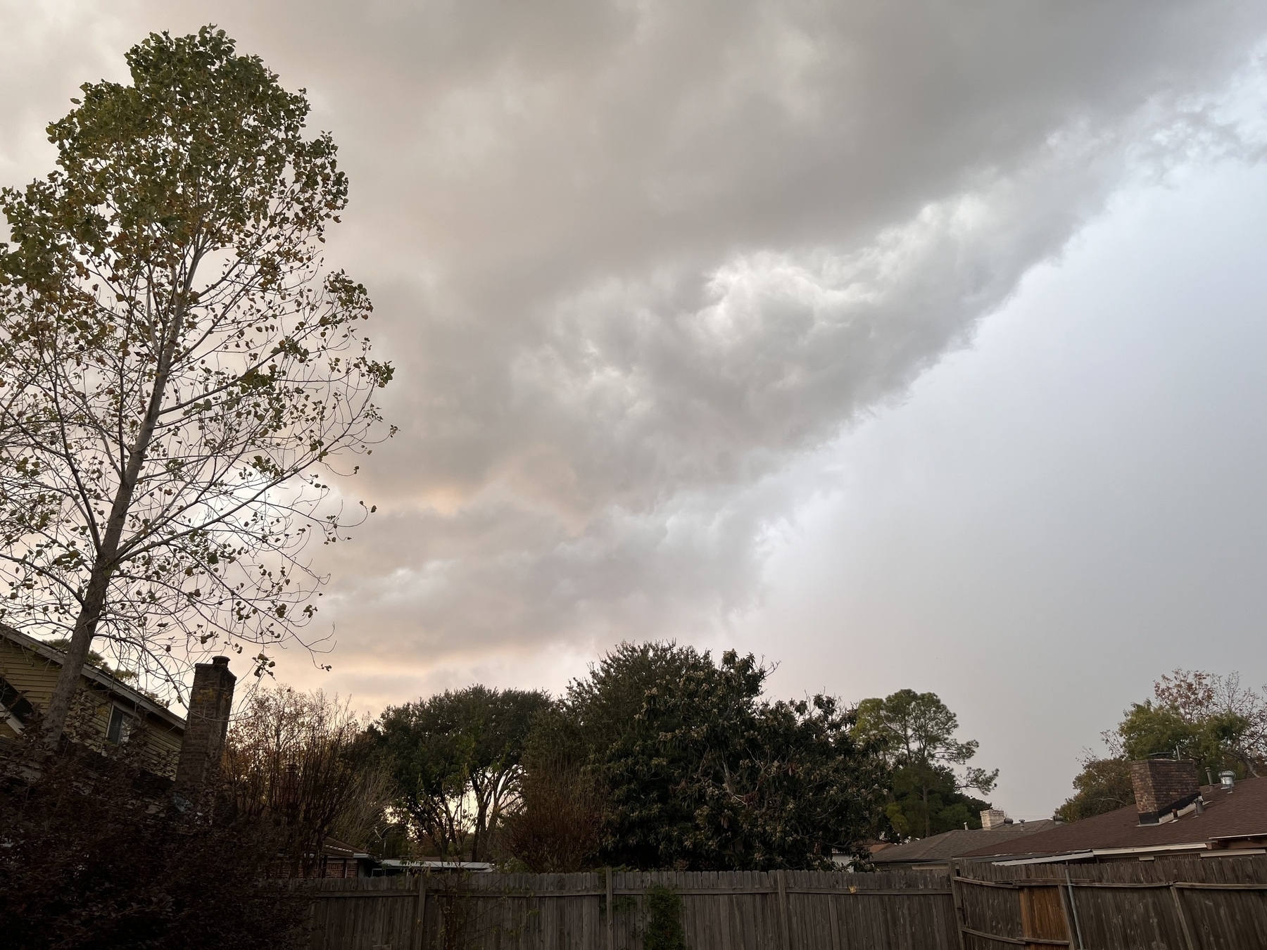 Cloudy sky over sparse trees and a wooden fence