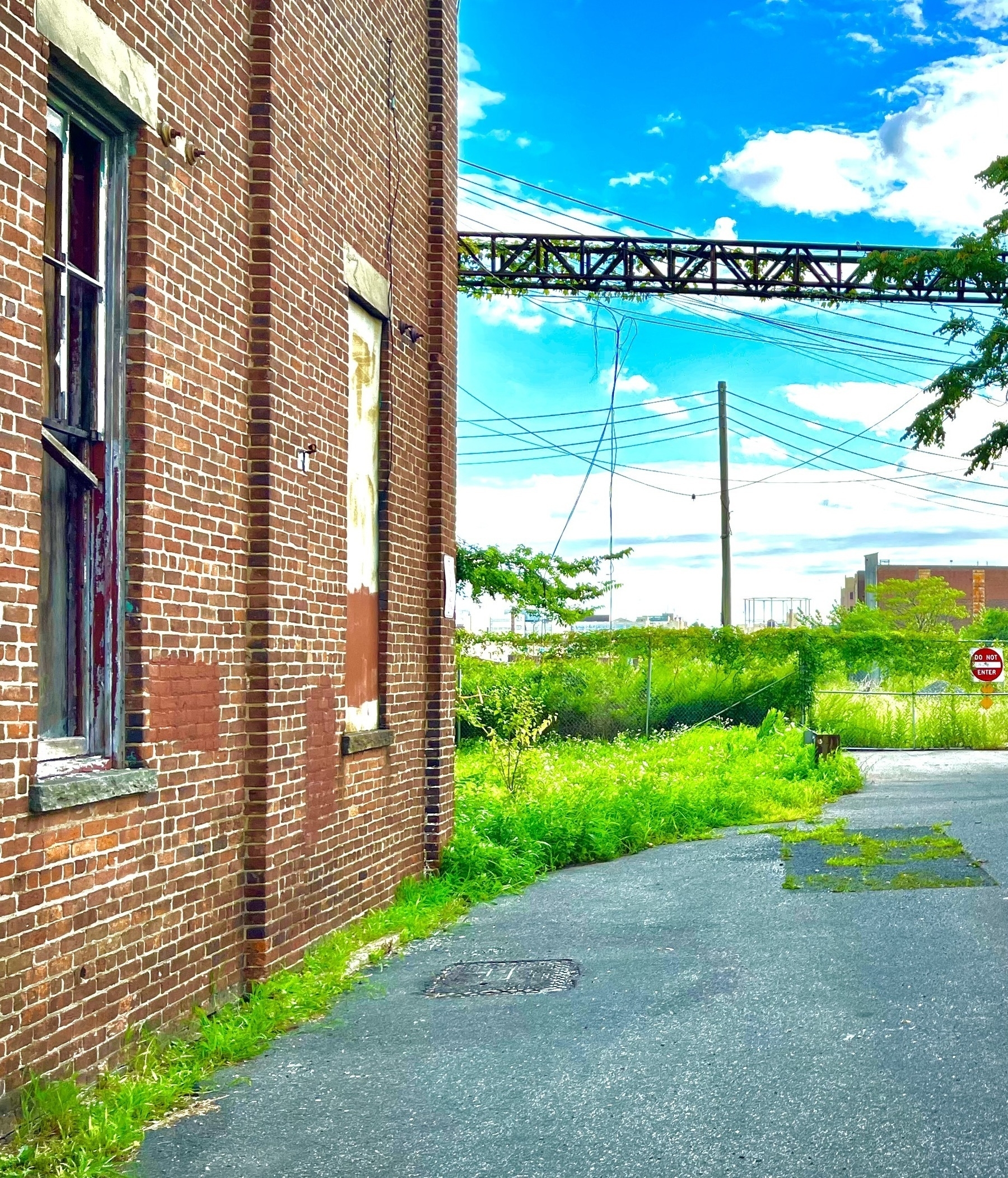 A brownstone building next to vibrant green grass and a mossy hanging metal construct. &10;