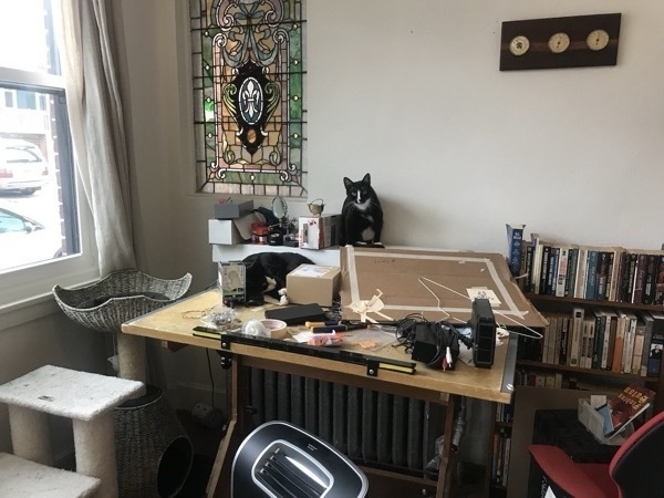 Photo of a brightly lit office, with a black and white cat in the background sitting next to a stain glass window