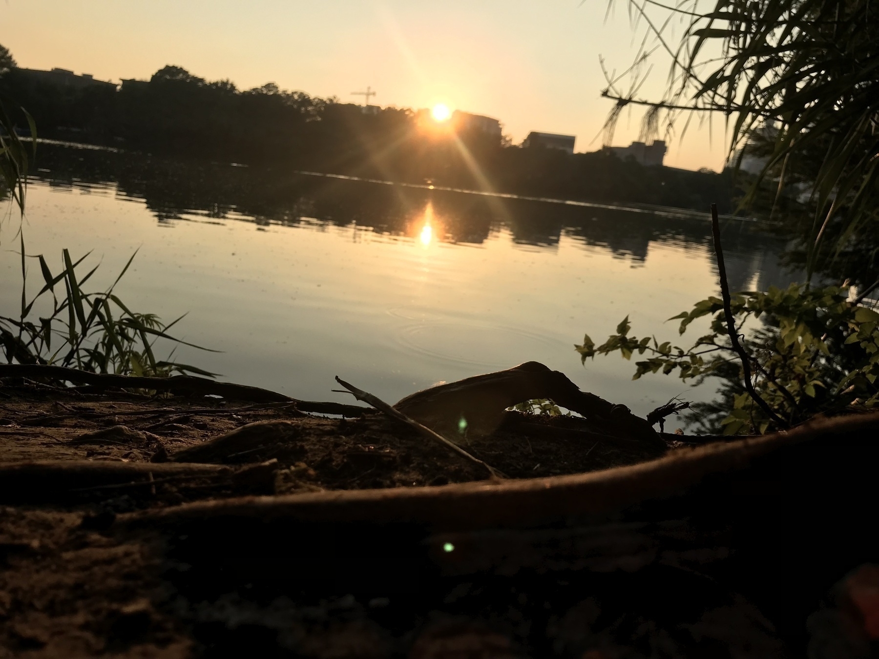 Auto-generated description: A serene sunset over a calm lake is surrounded by silhouetted trees and foliage, reflecting warm orange hues in the water.