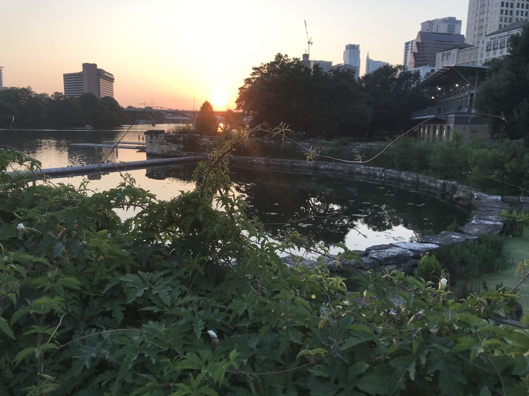 Auto-generated description: A scenic view of a pond surrounded by greenery at sunset, with city buildings in the background.