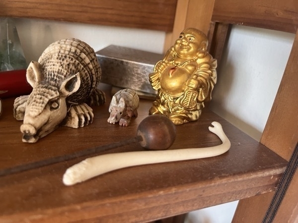 A wooden shelf with a whie raccoon penis bone on it. It's curved and has a prong at one end. There's a happy budda and some armadillo statues around.