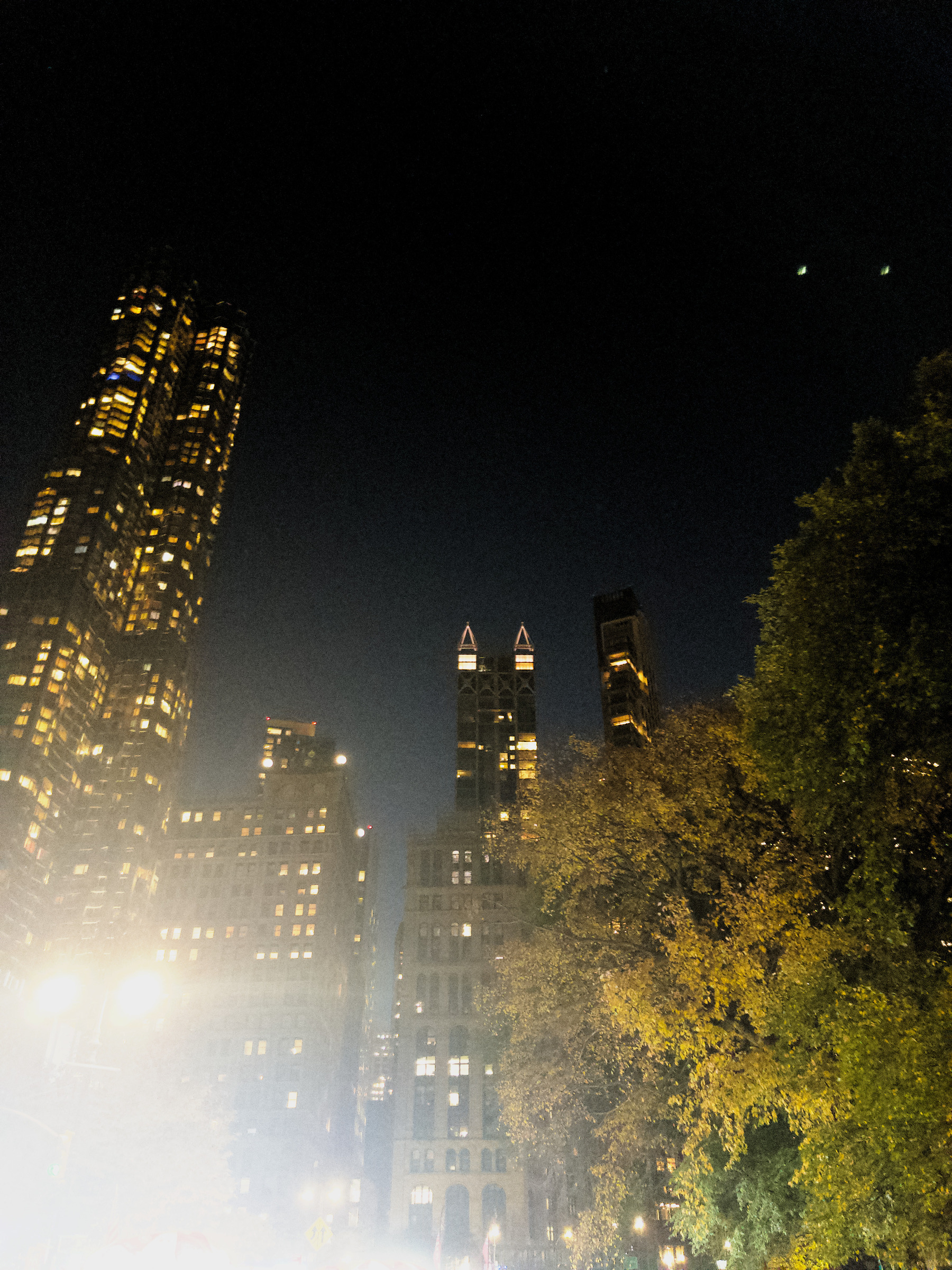 Auto-generated description: A nighttime cityscape features tall, illuminated buildings and a large tree in the foreground under a dark sky.