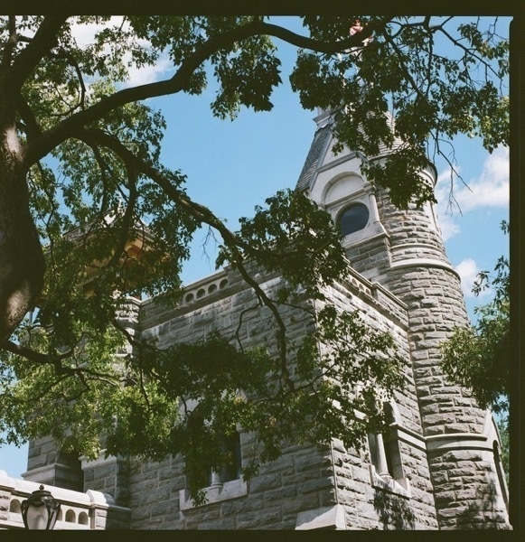 A castle looking structure shot from a low angle against a bright blue sky. A leafy tree with twisting branches hangs between the viewer and the castle.