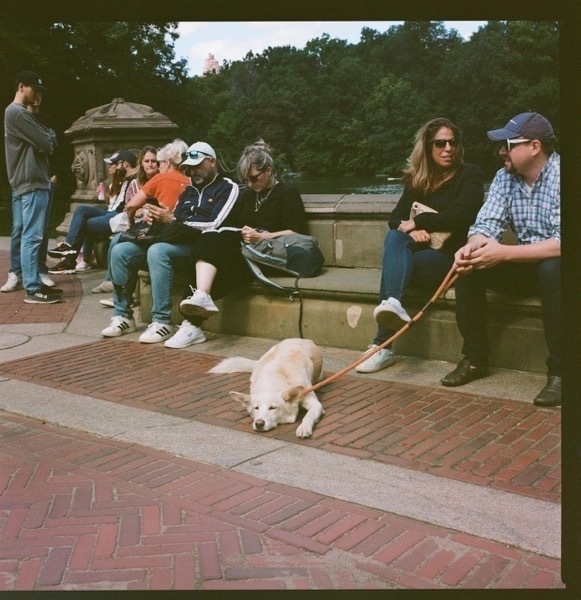 A big dog on a leash, sleeping outside. The dog's people, a white couple wearing sunglasses, are sitting nearby, holding the leash.