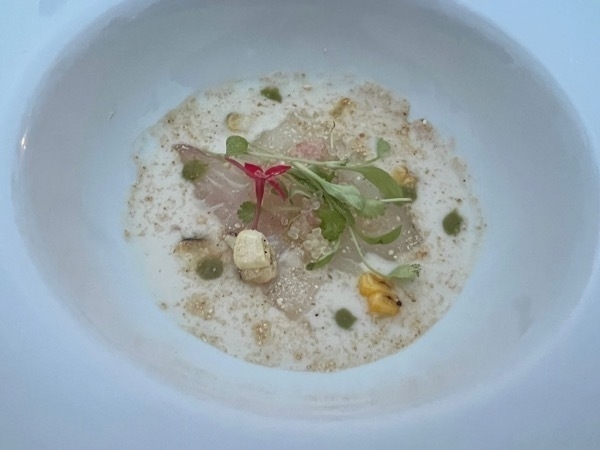 Close up of fish in a light white sauce, garnished with some herbs in a white plate.