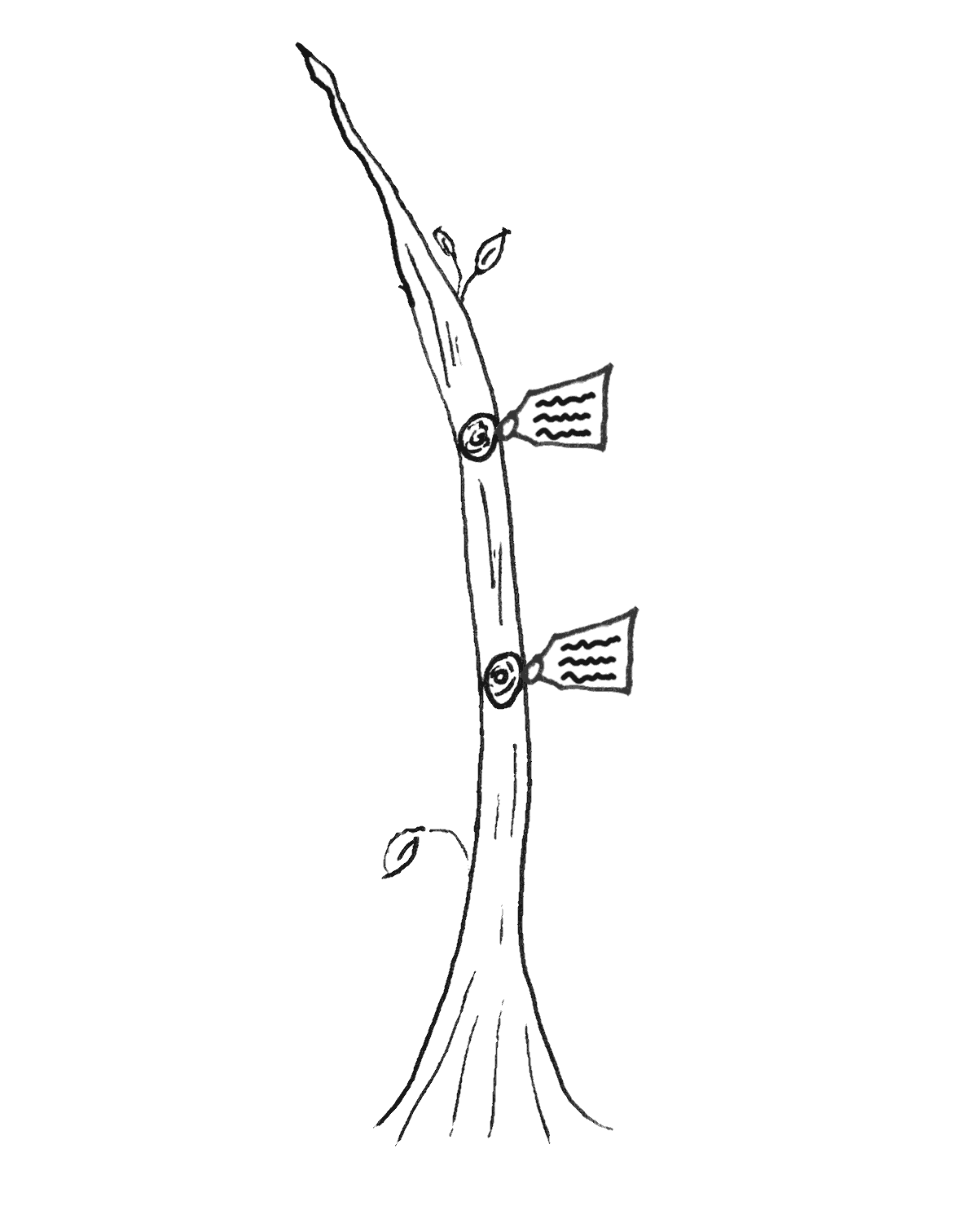 A hand drawn image of a tree without any branches and 2 knots along the trunk. There are notes tied to each knot.