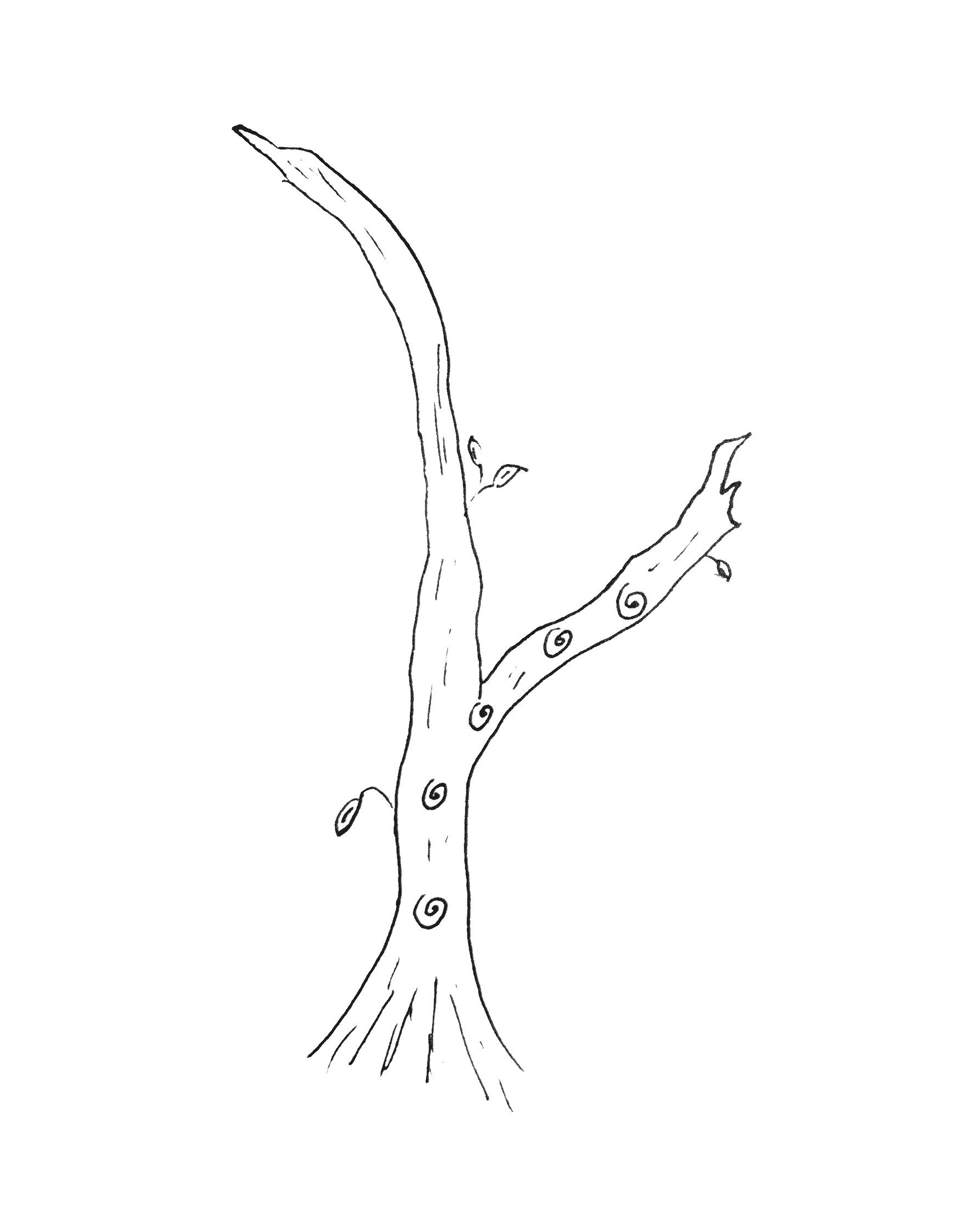 A hand drawn image of a tree with one branch. There are 2 knots on the trunk, and 3 more knots on the branch. The branch extends from the top most trunk knot. The trunk continues to extend up past the branch, but has no further knots.