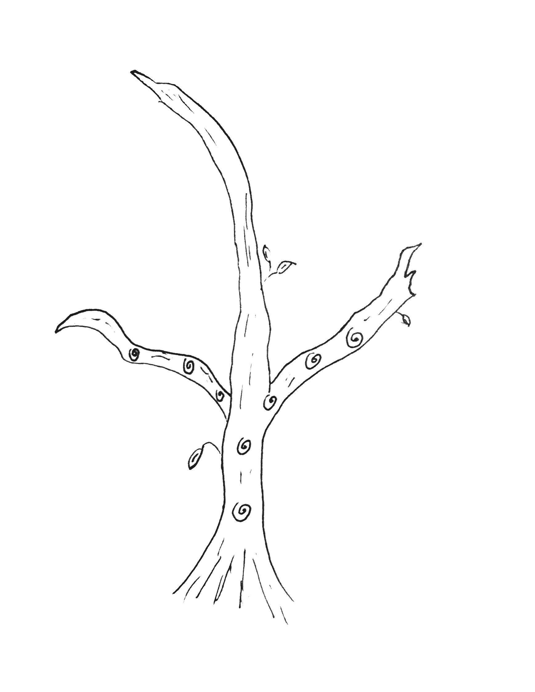 A hand drawn image of a tree with 2 branches, each stemming from the same spot on opposite sides. There are 2 knots on the trunk, and 3 knots on each branch.