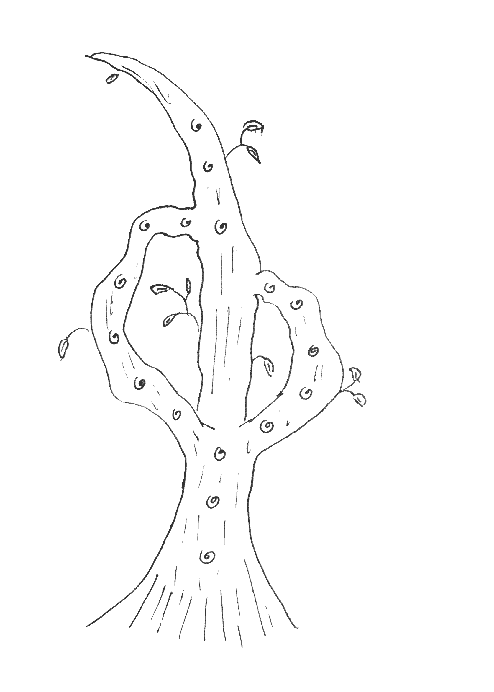 A hand drawn image of a tree with 2 branches, the same one from before. Now, each branch grows back into the trunk. While each branch originates from the same point, the right branch grows back into the trunk below the left branch.