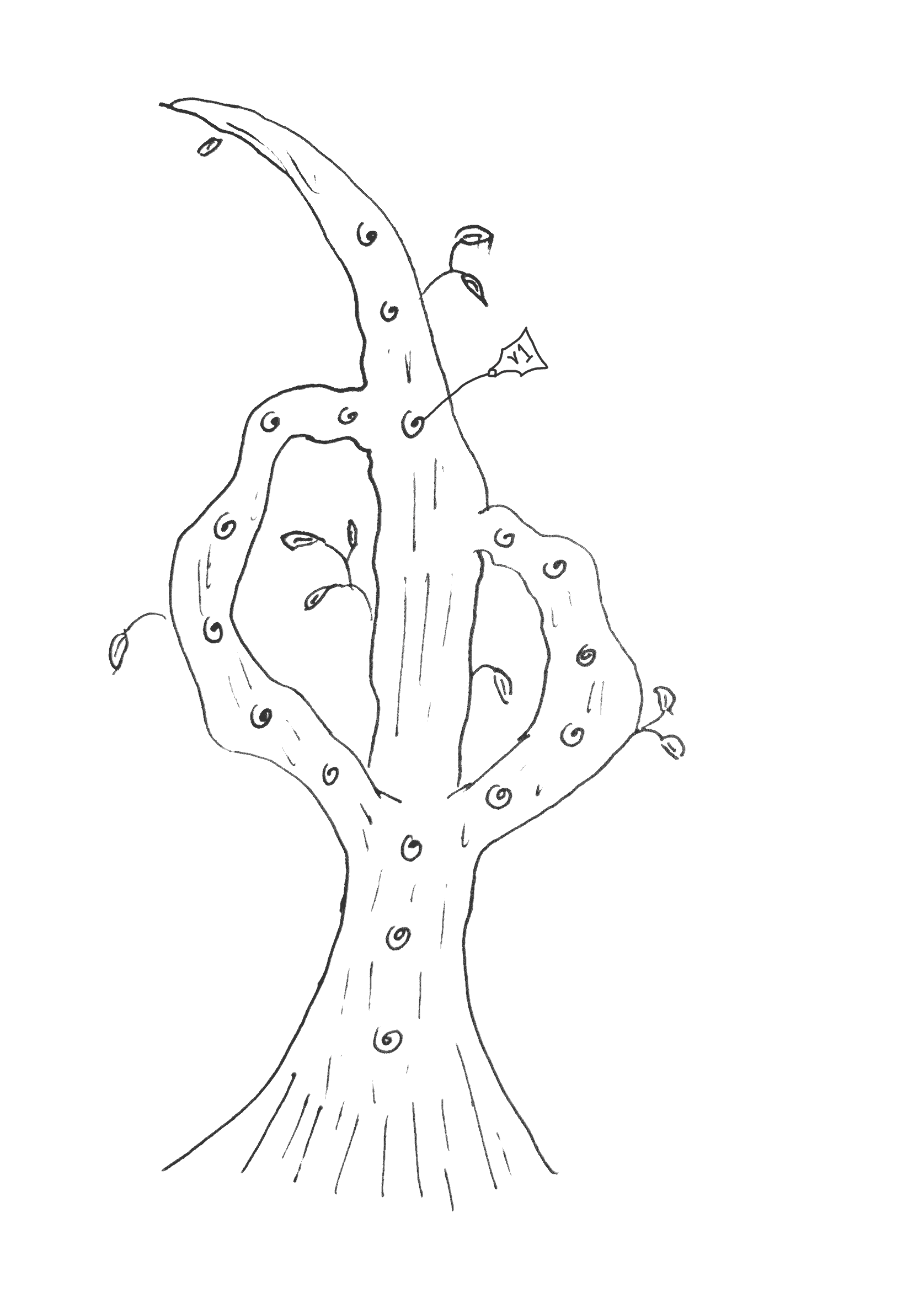 A hand drawn image of the tree with merged branches from before, only now an etched note is tied to a knot. It reads, 'v1'.