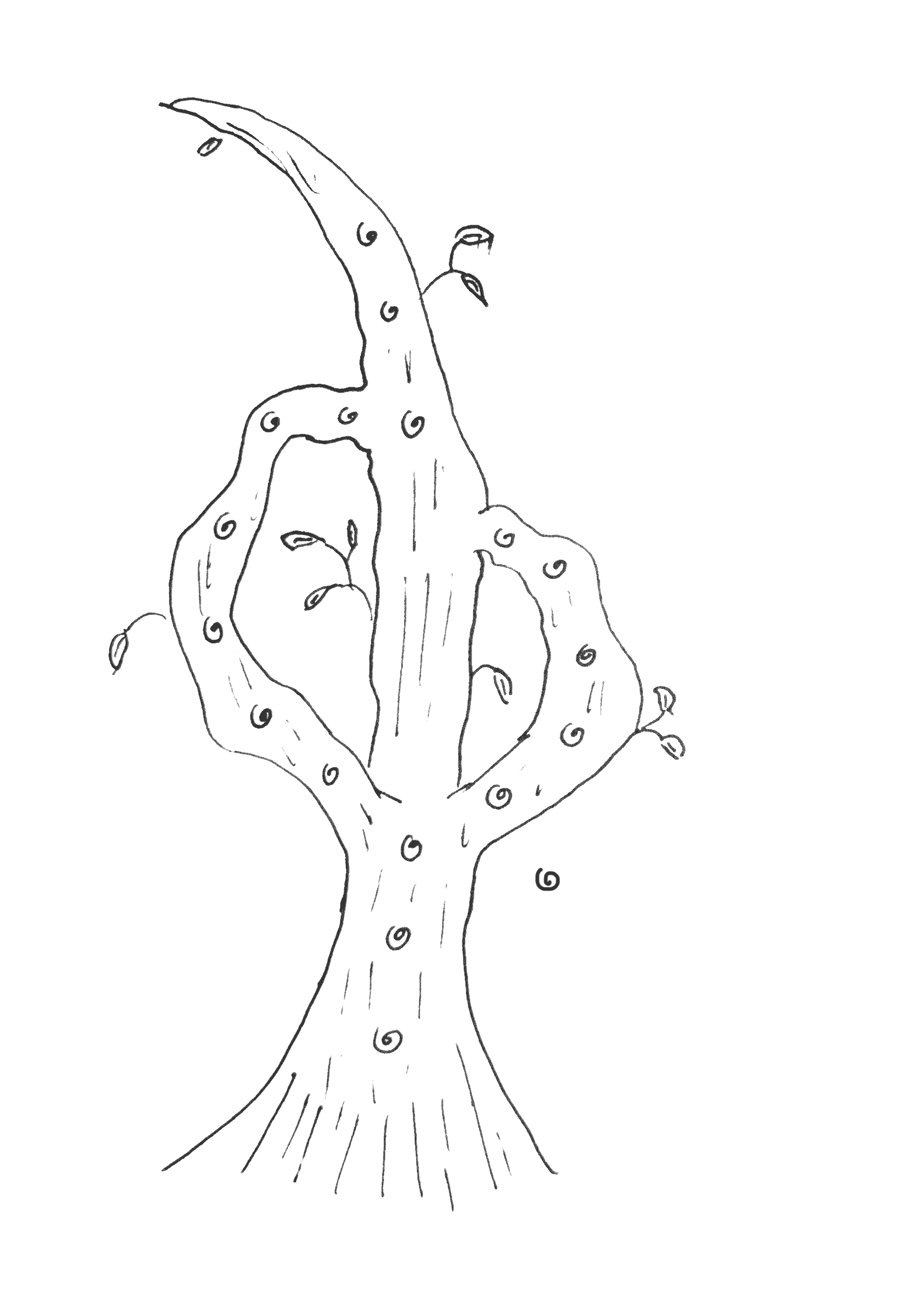 A hand drawn image of a tree with branches grown back into it. A knot floats next to the origin point of the branches.