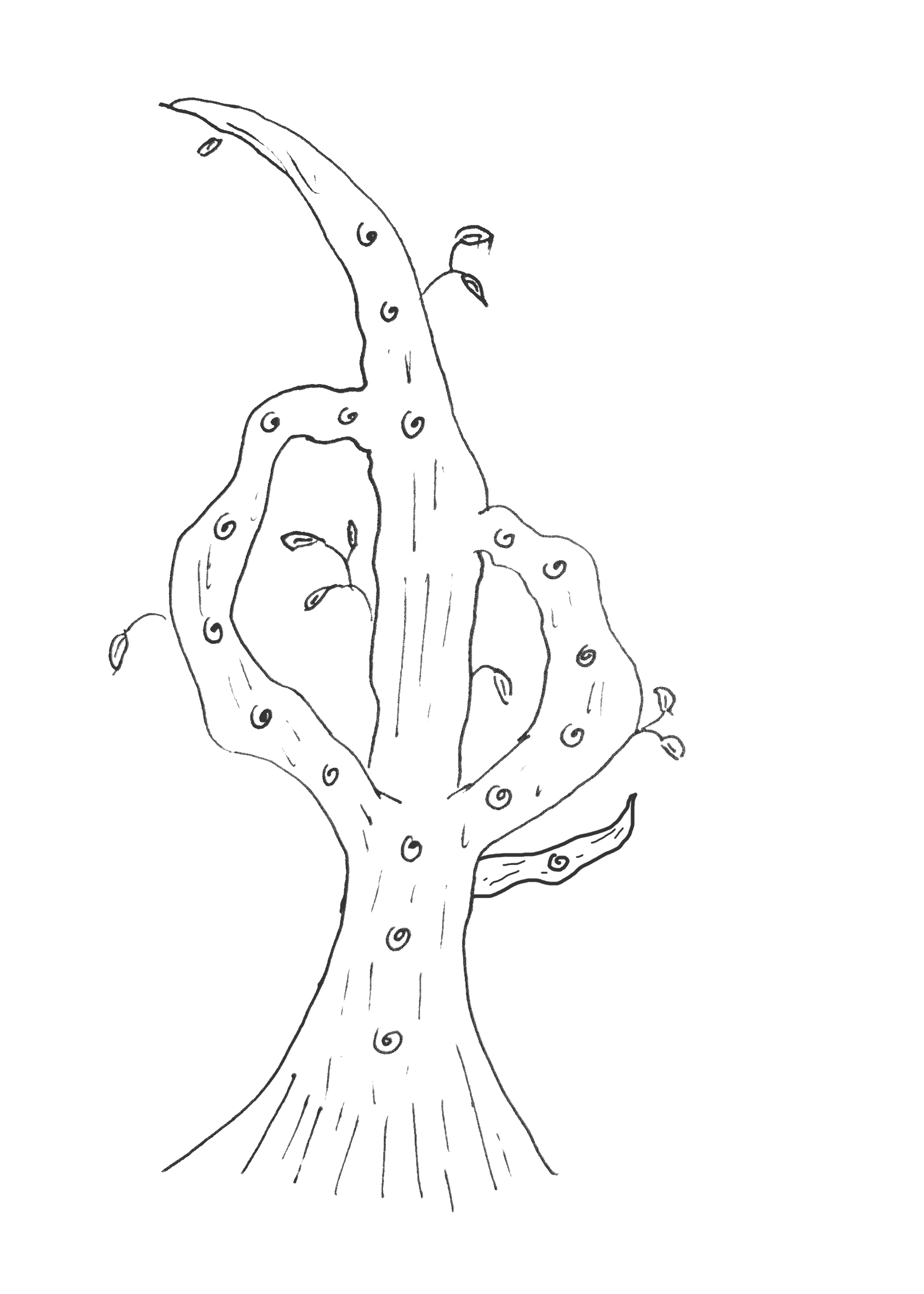 A hand drawn image of a tree with 3 branches, all from the same origin point. The first 2 branches grown back into the trunk higher up. The third branch is in the place where the floating knot from the previous image was, and contains that knot.