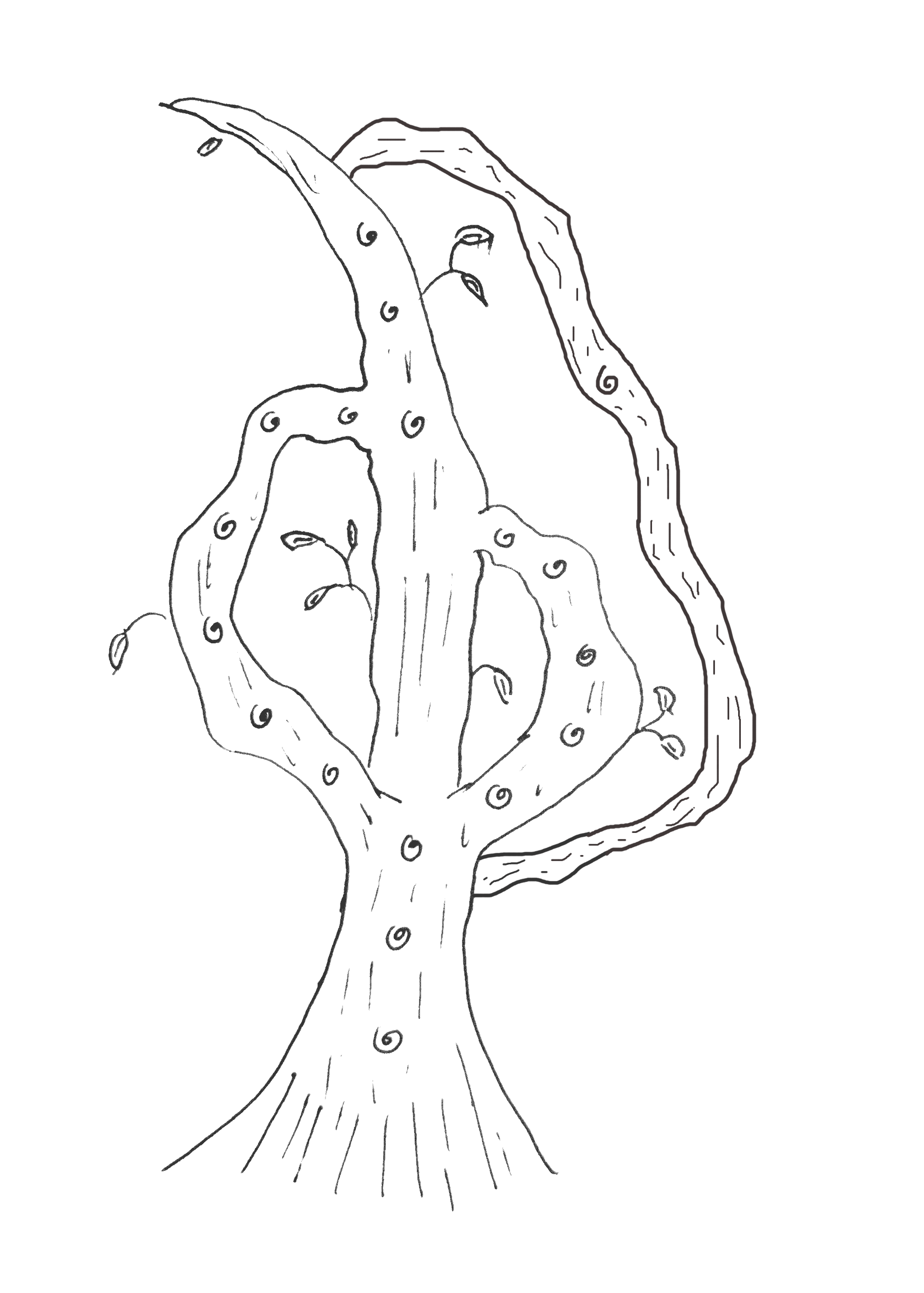 A hand drawn image of a tree with 3 branches coming from the same origin point. Each branch grows back into the trunk sequentially, higher up.