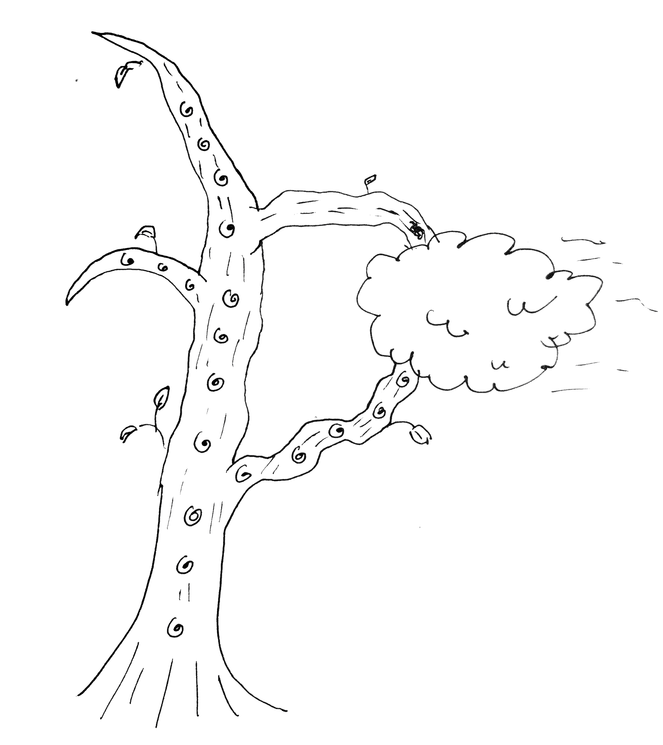 A hand drawn image of a tree with lots of knots along the trunk. There's a branch coming from the middle of the trunk, disappearing into a small floating cloud, then coming out the top of the cloud and growing into the trunk higher up.