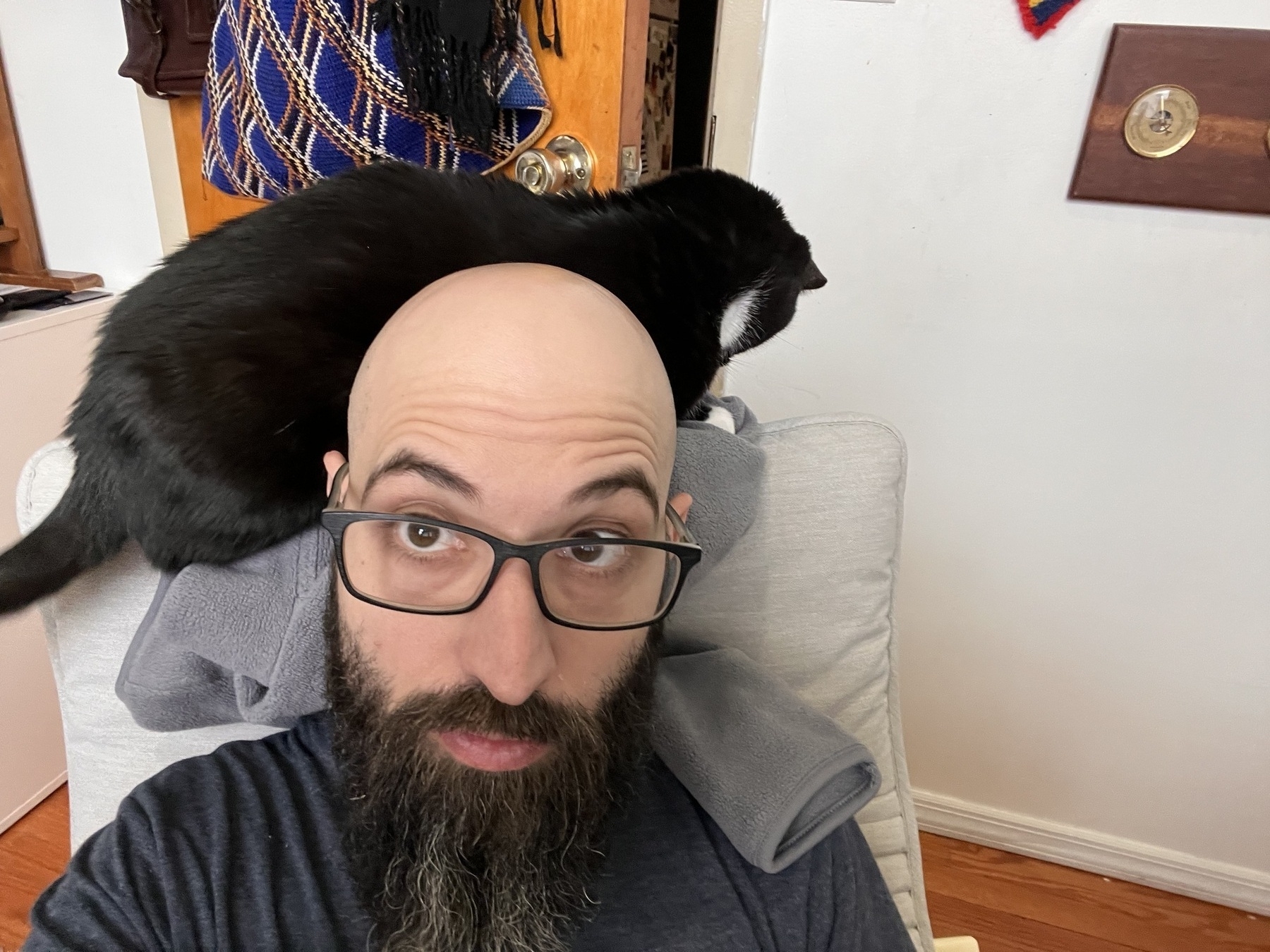 Me, a bald white guy with glasses and a big ass beard, sitting in a chair. There’s a black cat, superbass, sitting on the back of the chair, and it kind of looks like I’m wearing her as a hat. Kind of. 