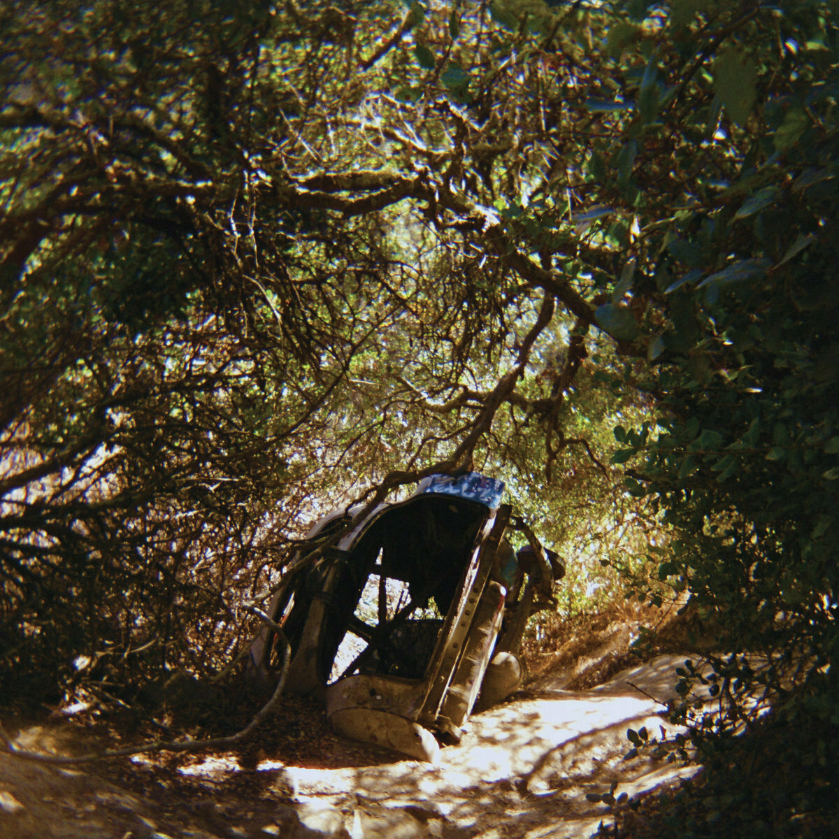 Auto-generated description: A dilapidated and rusted vintage car is partially consumed by overgrown vegetation in a wooded area.