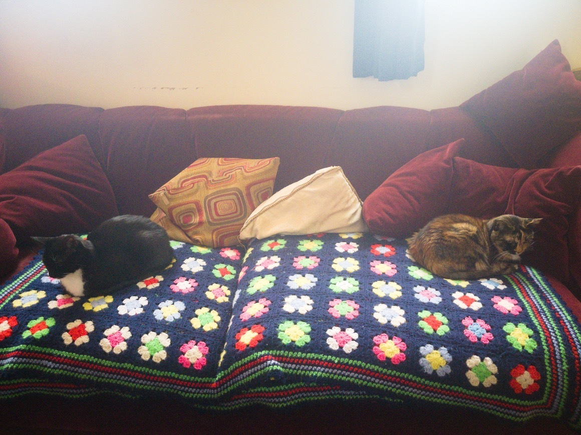 Auto-generated description: Two cats are resting on a colorful floral-patterned blanket on a couch with several pillows.