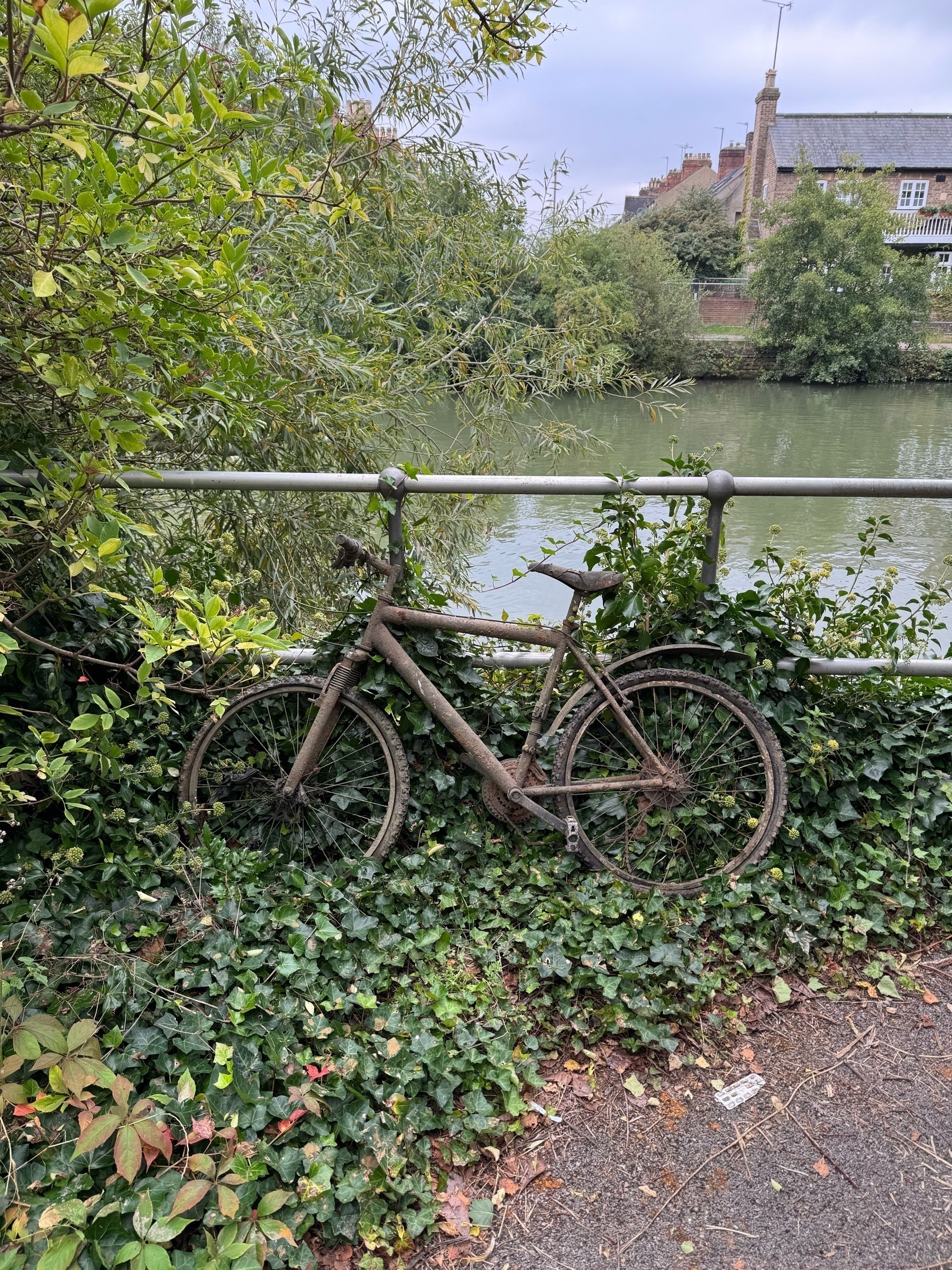 Image of an abandoned bike by the river in Oxford. The bike blends into the foliage as it has also turned very green 