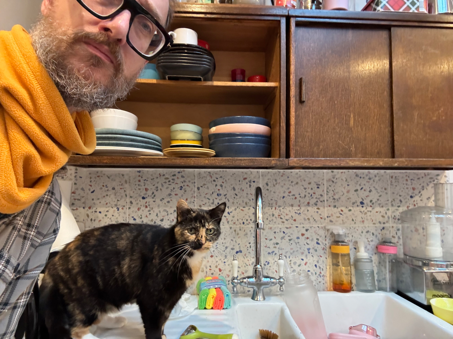 A person with glasses and a yellow scarf is next to a multicolored cat standing by a kitchen sink with various dishes, under wooden cabinets filled with plates and bowls.