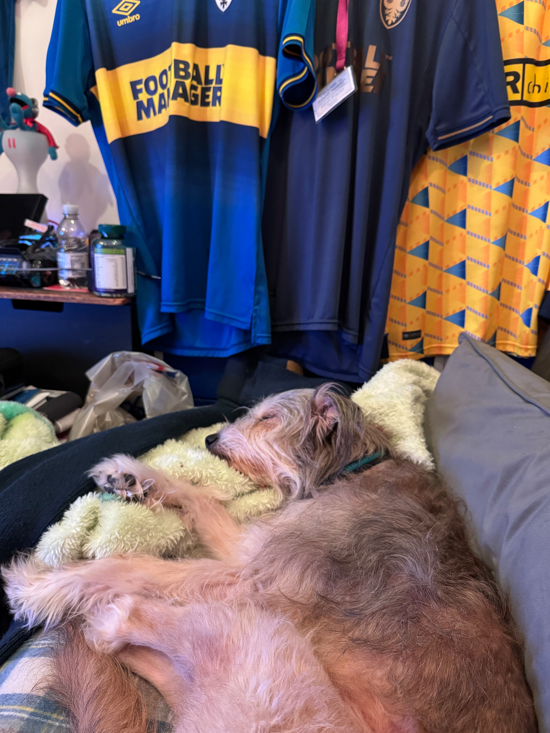 A dog is sleeping on a couch surrounded by sports jerseys and other miscellaneous items.