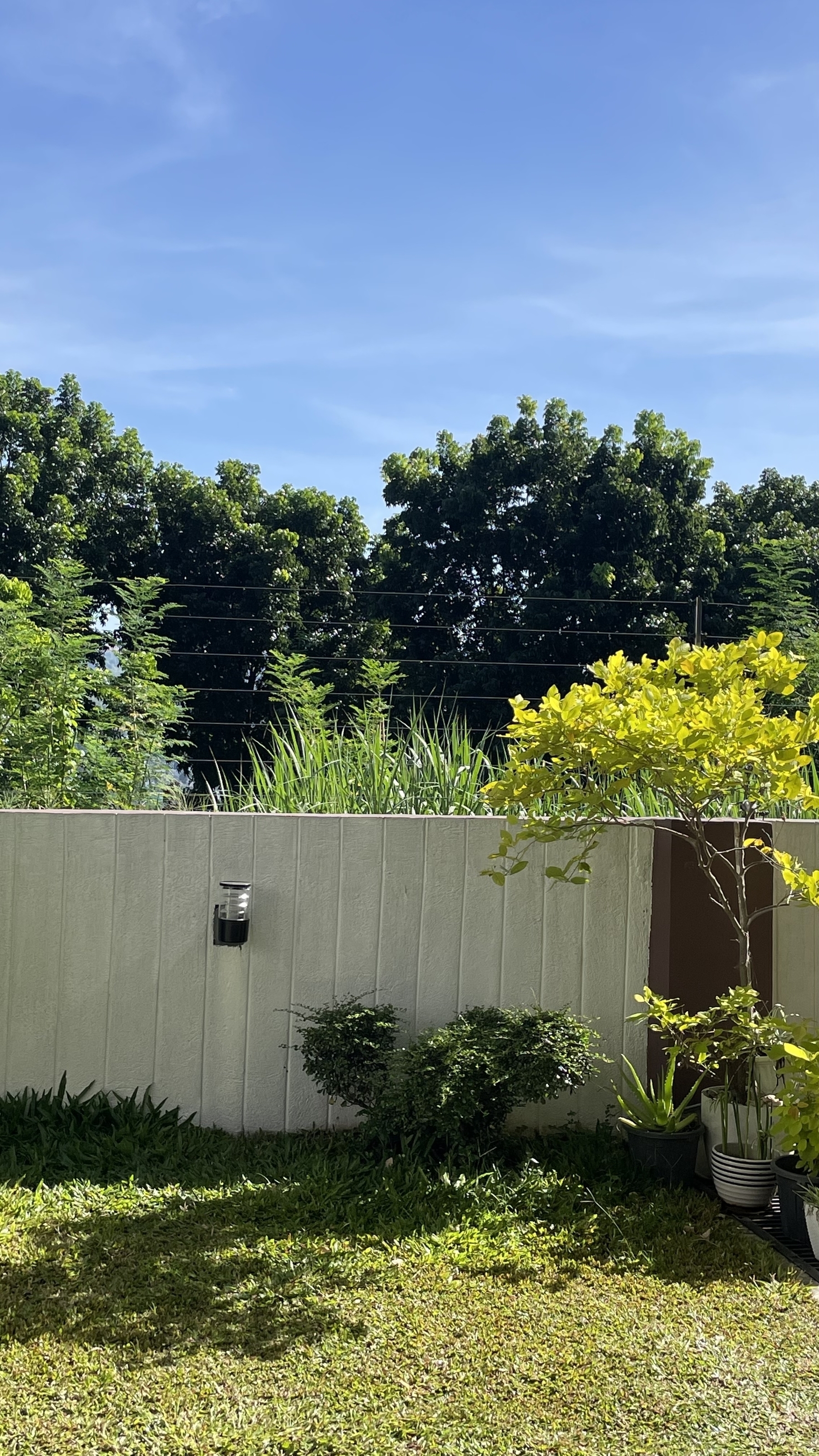 photo of a house’s backyard wall  overlooking some greenery