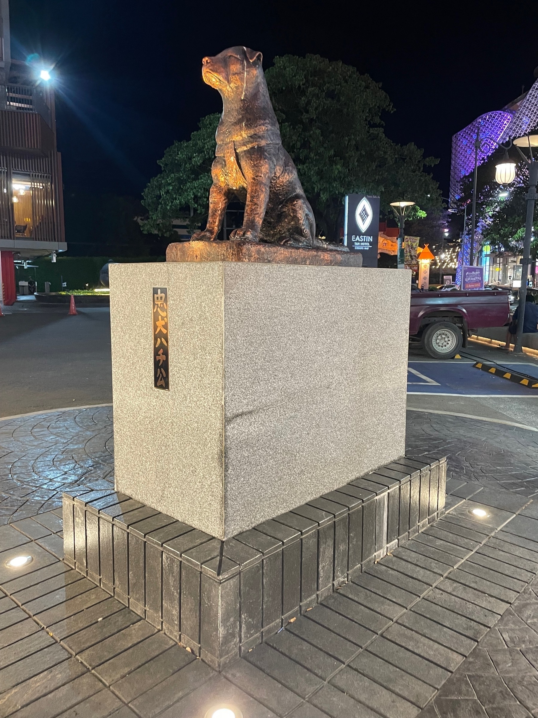 A statue of Hachiko, similar to the one in Tokyo, but this one in particular was taken at Chiang Mai, Thailand. Some bird poop is seen on the top of the Hachiko statue.
