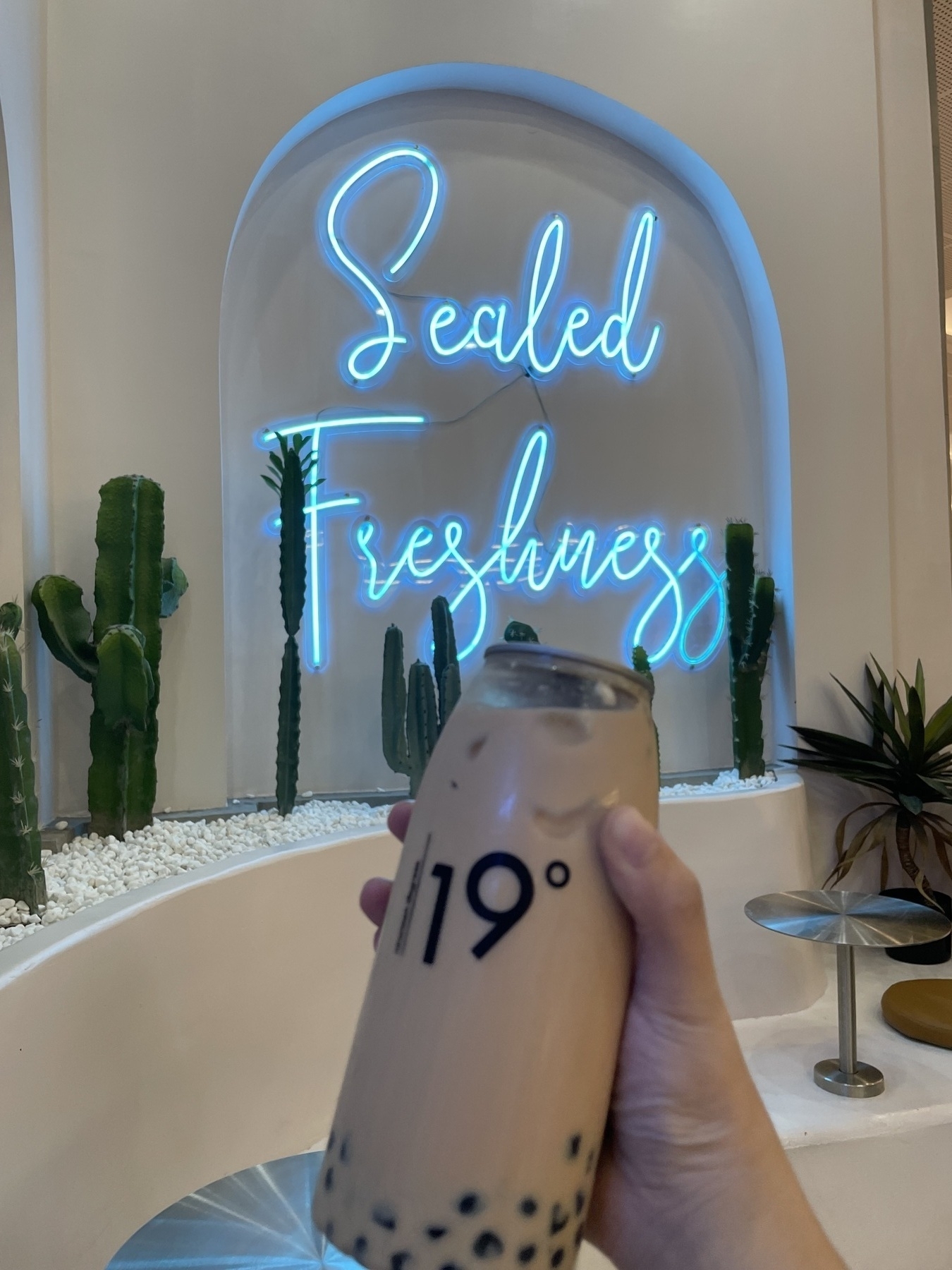 Chi is holding up an iced coffee beverage in a container with the label 19° on it. In the background, a neon sign that reads "Sealed Freshness" in cursive is surrounded by fake cacti plants on a white wall.
