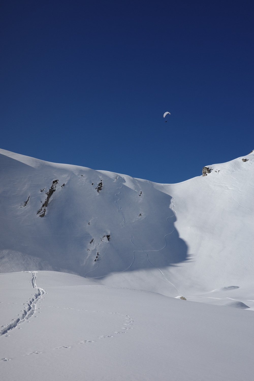 A paraglider soars above a snowy mountain landscape under a clear blue sky, with tracks visible on the snow.