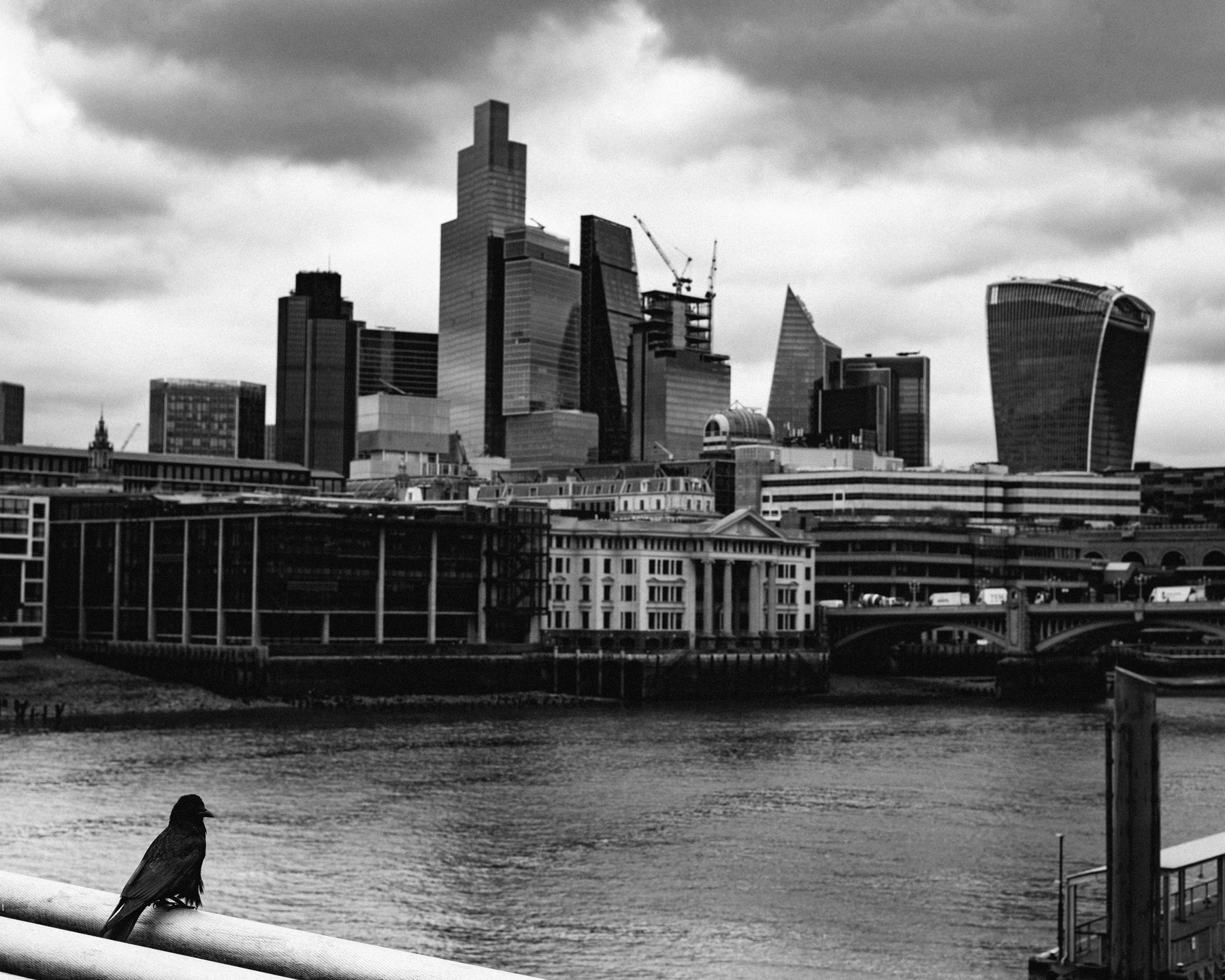 A crow perched on the Millennium Bridge, looking over a London Skyline under dramatic cloudy skies.