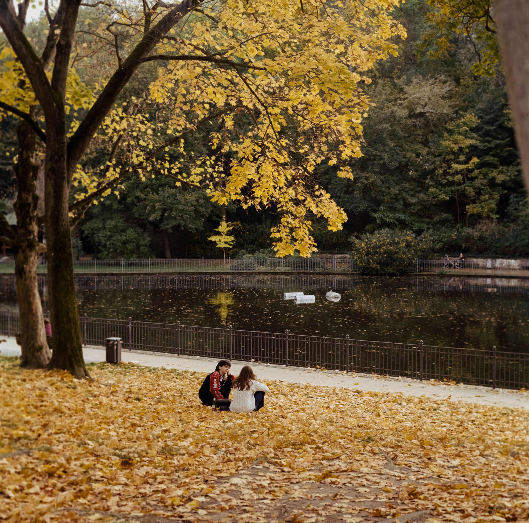 A couple sat on a bank of golden leaves, a tree hangs above them with the last of its autumn hues. In front of them a large pond.