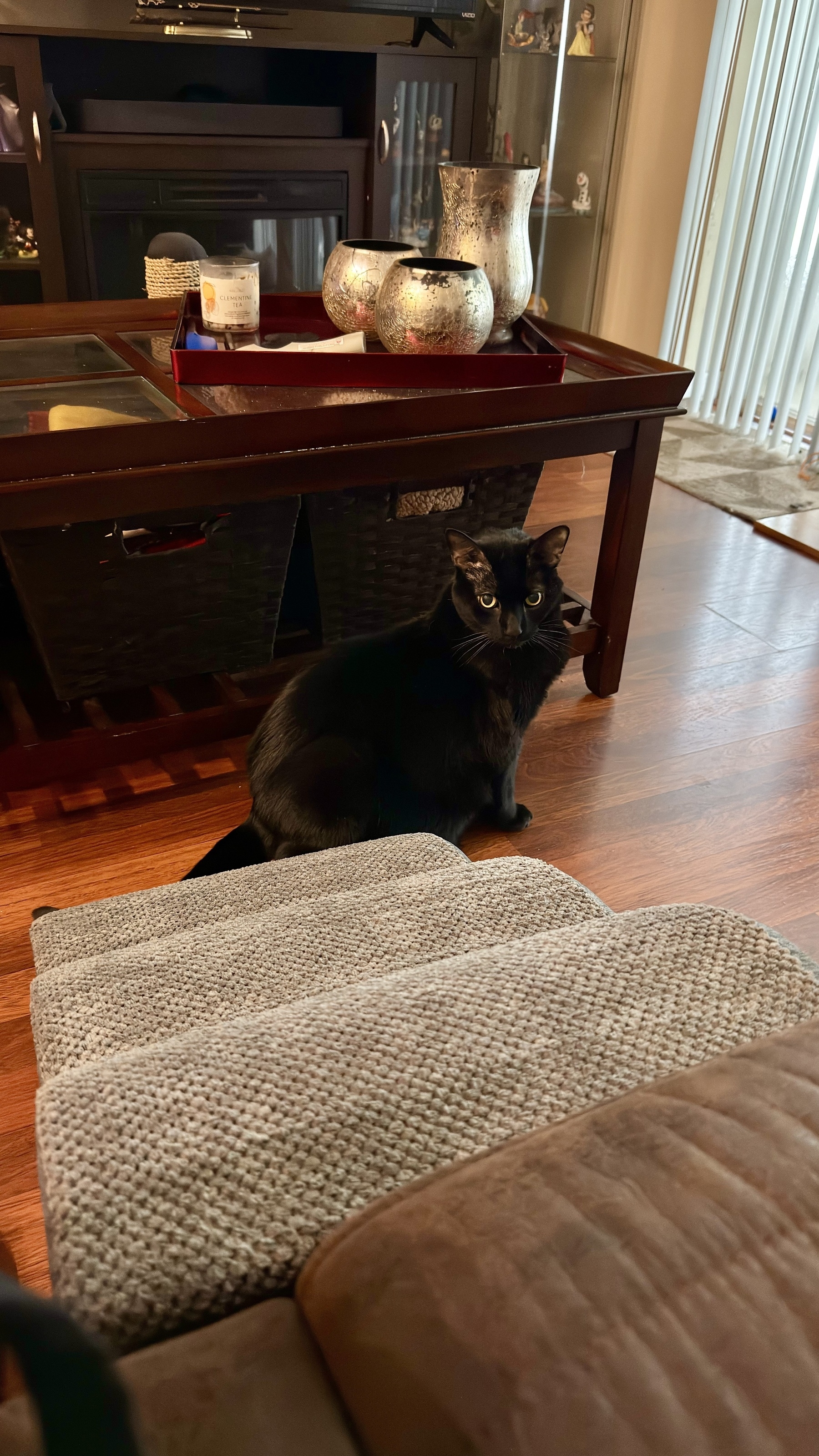 A black cat is sitting on a wooden floor next to a coffee table with decorative items and a fireplace in the background. There is a set of gray stairs leading up to the couch in front of the cat.